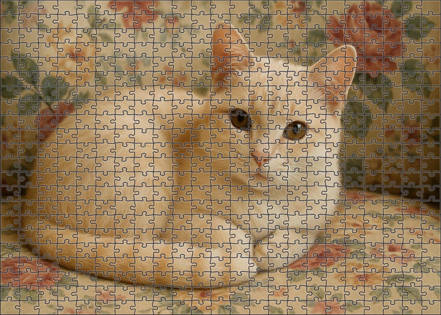 Peach Blossom Delicate Cream-furred Cat With Sweet Disposition 1000 Piece Puzzle