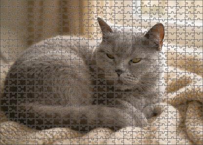 Velvet Dawn Plush Grey Medium Hair With Affectionate Heart Puzzle Challenge