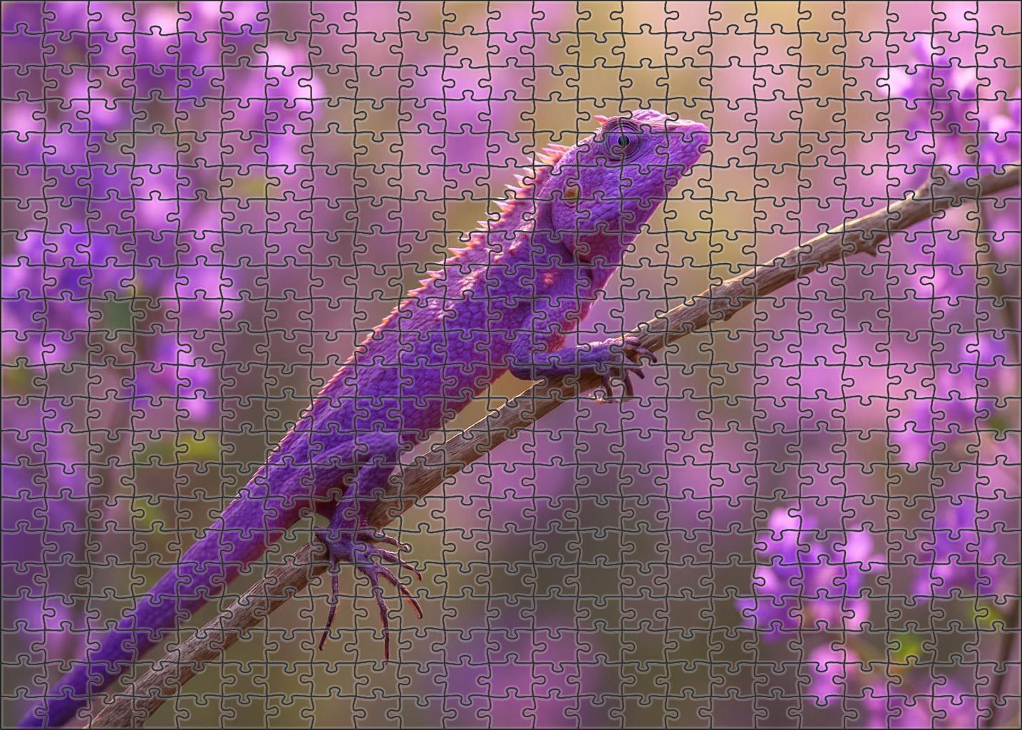 Violet Spine Anole 300 Piece Puzzle