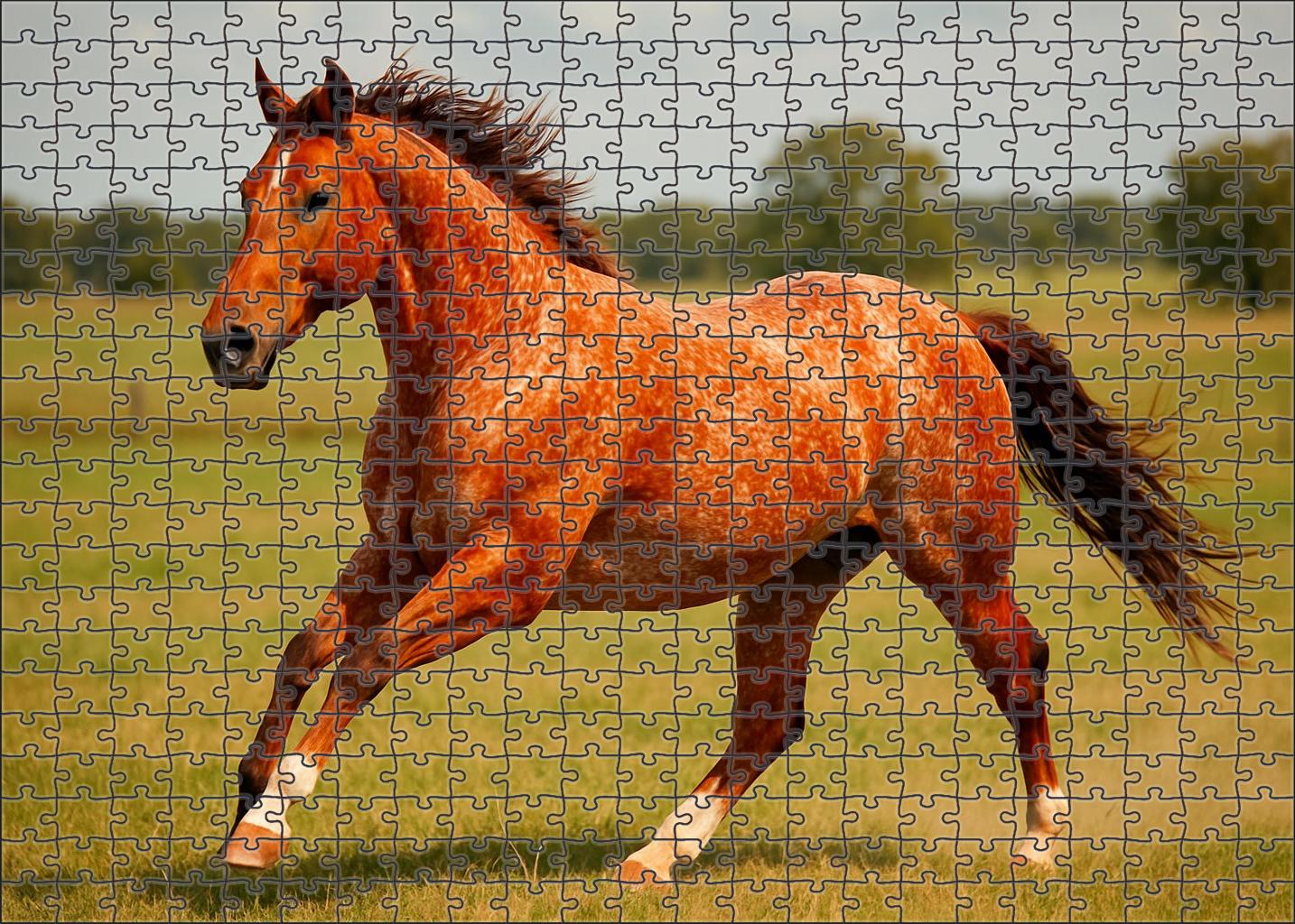 Copper Ember Quarter Horse Athletic Red Roan Gelding With Ground Covering Stride Custom Jigsaw Puzzle
