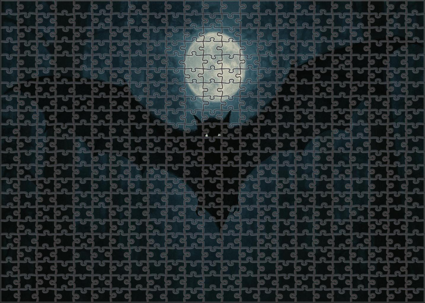 Obsidian Glider 300 Piece Puzzle