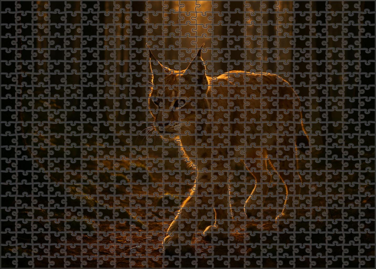 Sunshadow Lynx Premium Puzzle Pieces