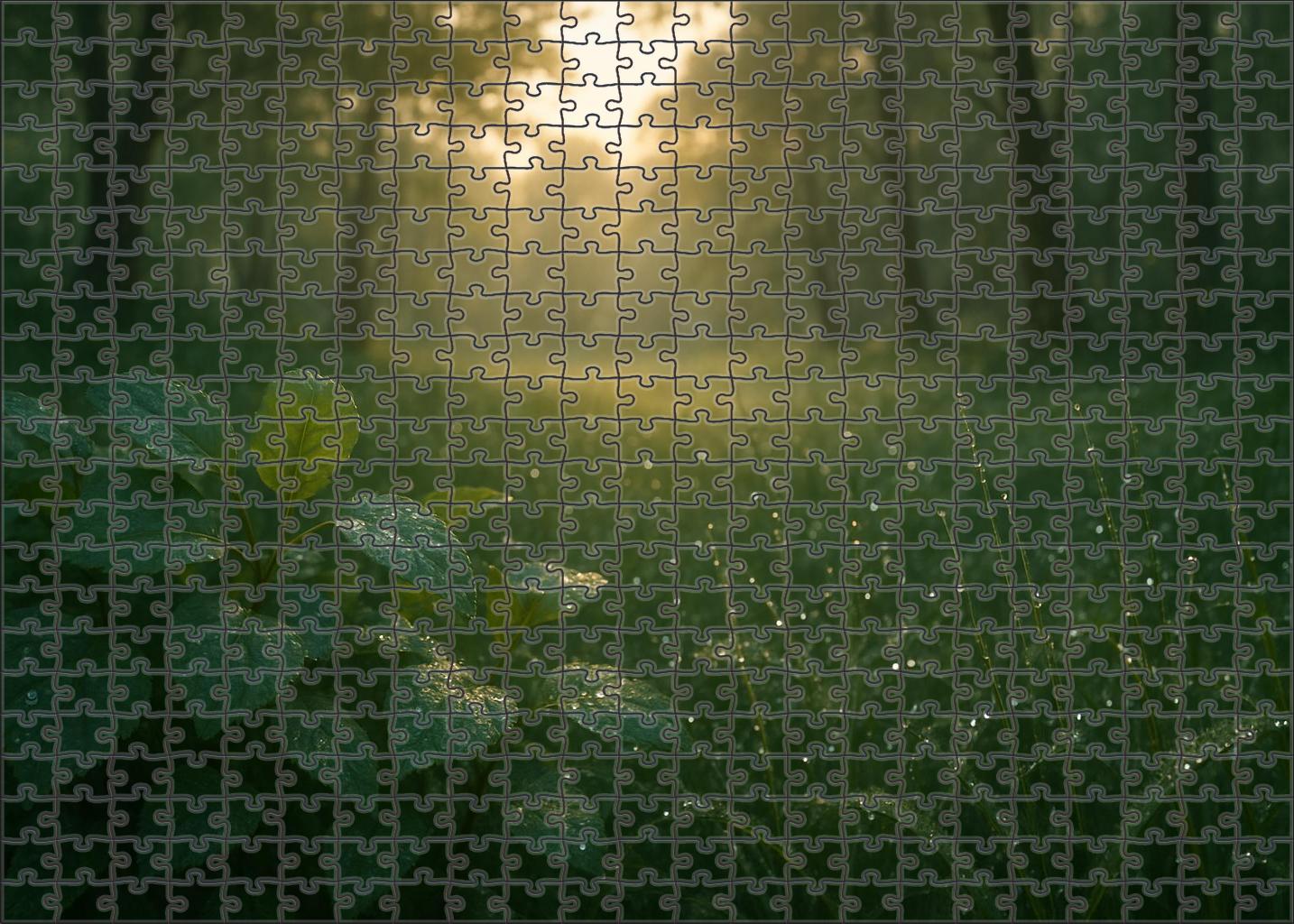 Silver Dew Glen 1000 Piece Puzzle