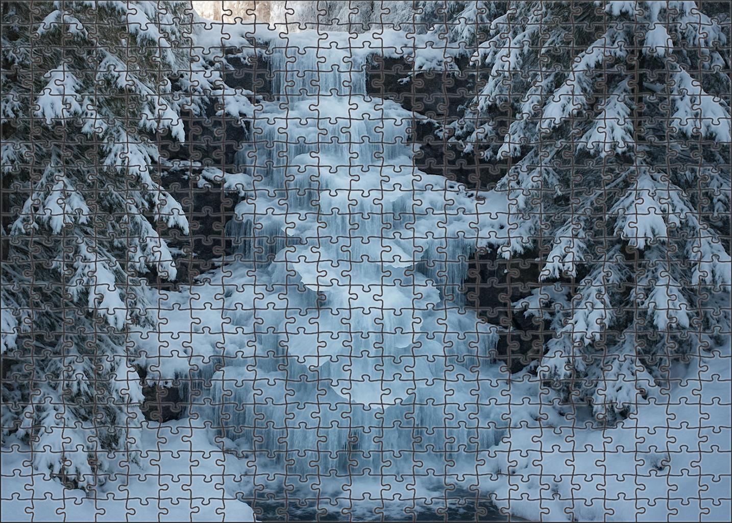 Silent Ice Blossom Falls 100 Piece Puzzle