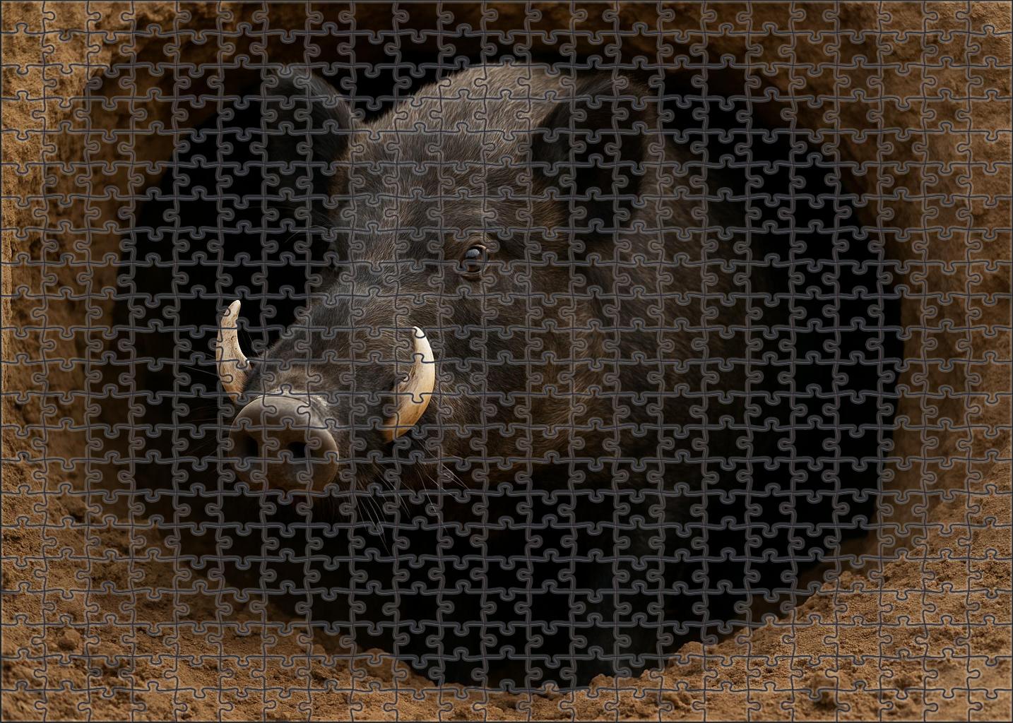Shadow Tusked Mammal Subterranean Forager With Enormous Incisors Large Format Puzzle