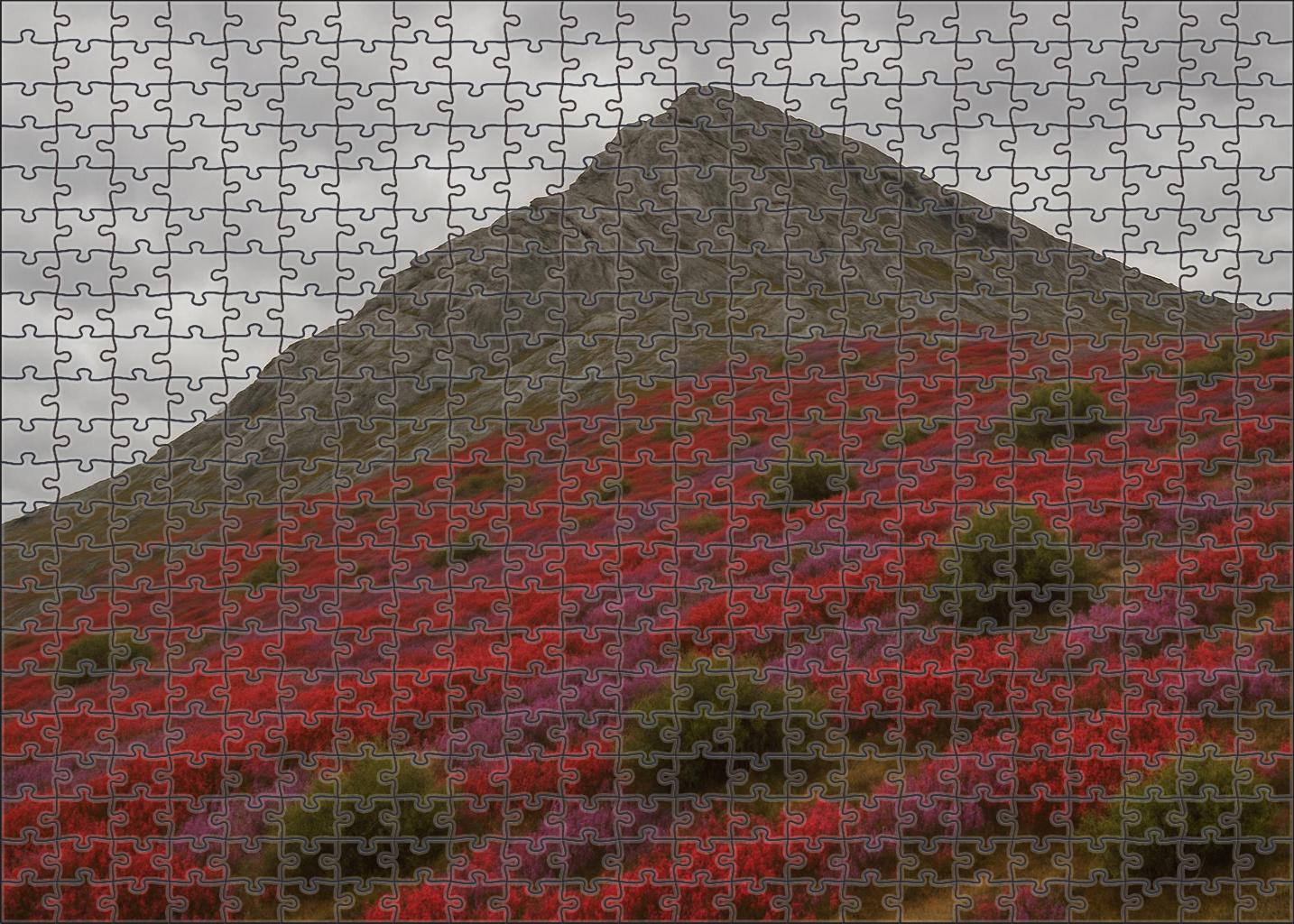 Crimson Heather Ridge Puzzle Challenge