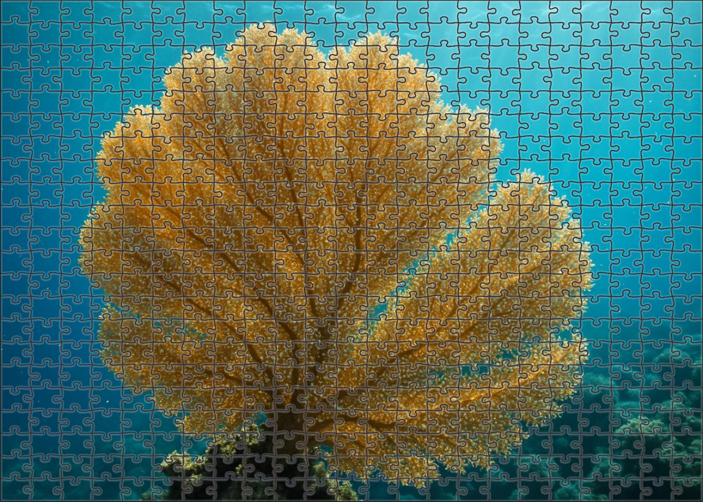 Golden Fan Coral Colonial Cnidarian With Radiant Fan-shaped Growth 300 Piece Puzzle
