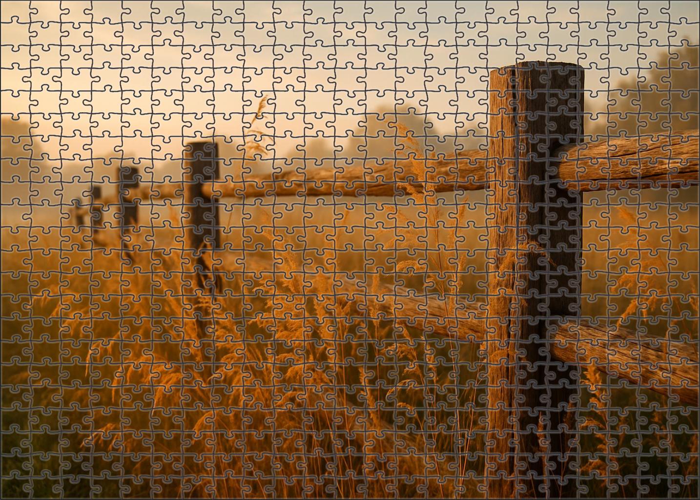 Golden Meadow Fence Line Tall Warm-toned Wildflowers With Feather-like Leaves 50 Piece Puzzle