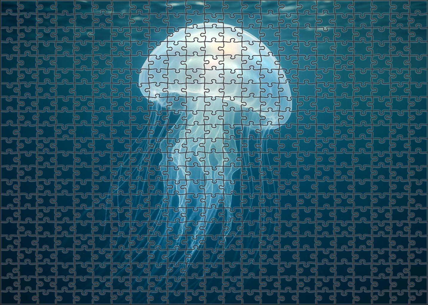 Pearly Glow Jelly Translucent Drifter With Soft Luminescence Puzzle Fun