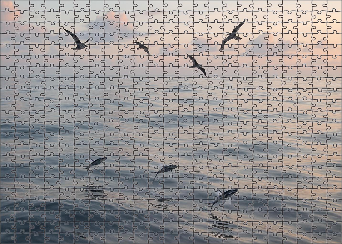 Silver Surface Drift Gentle Swells Beneath Pale Morning Light 200 Piece Puzzle