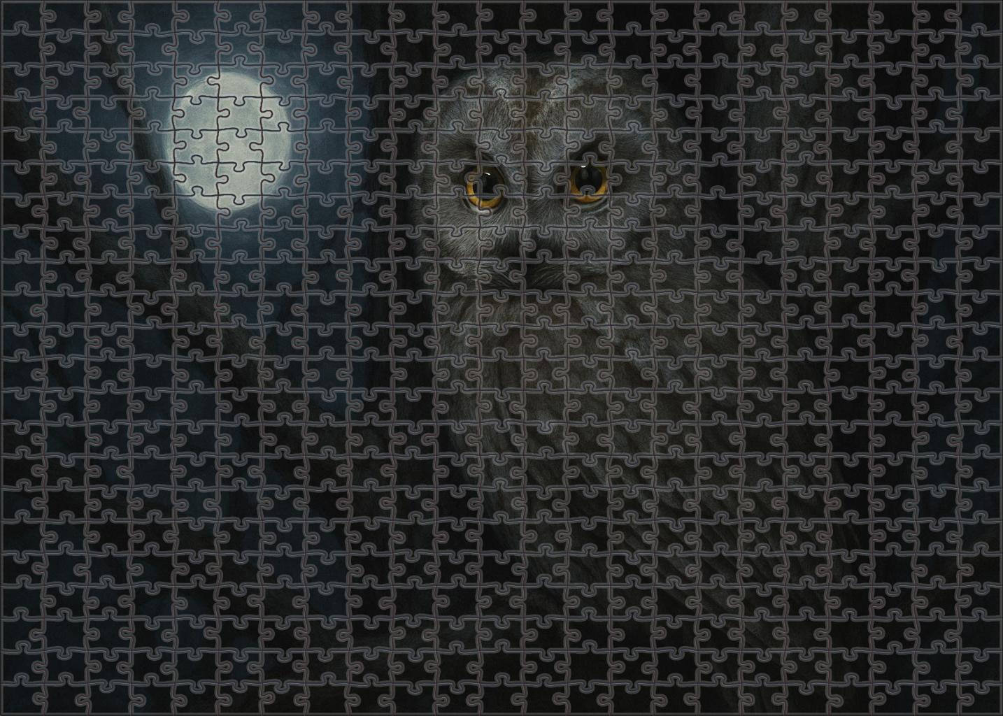 Veiled Owl The Mysterious Forest Sentinel Unique Puzzle Design