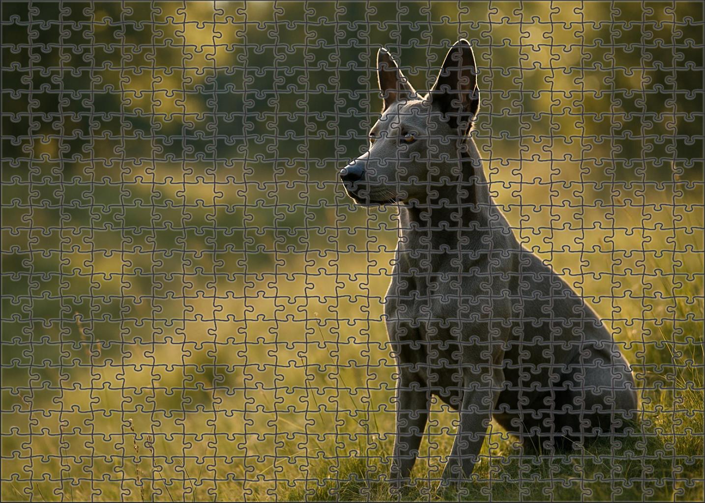 Dusky Meadow Puzzle Fun