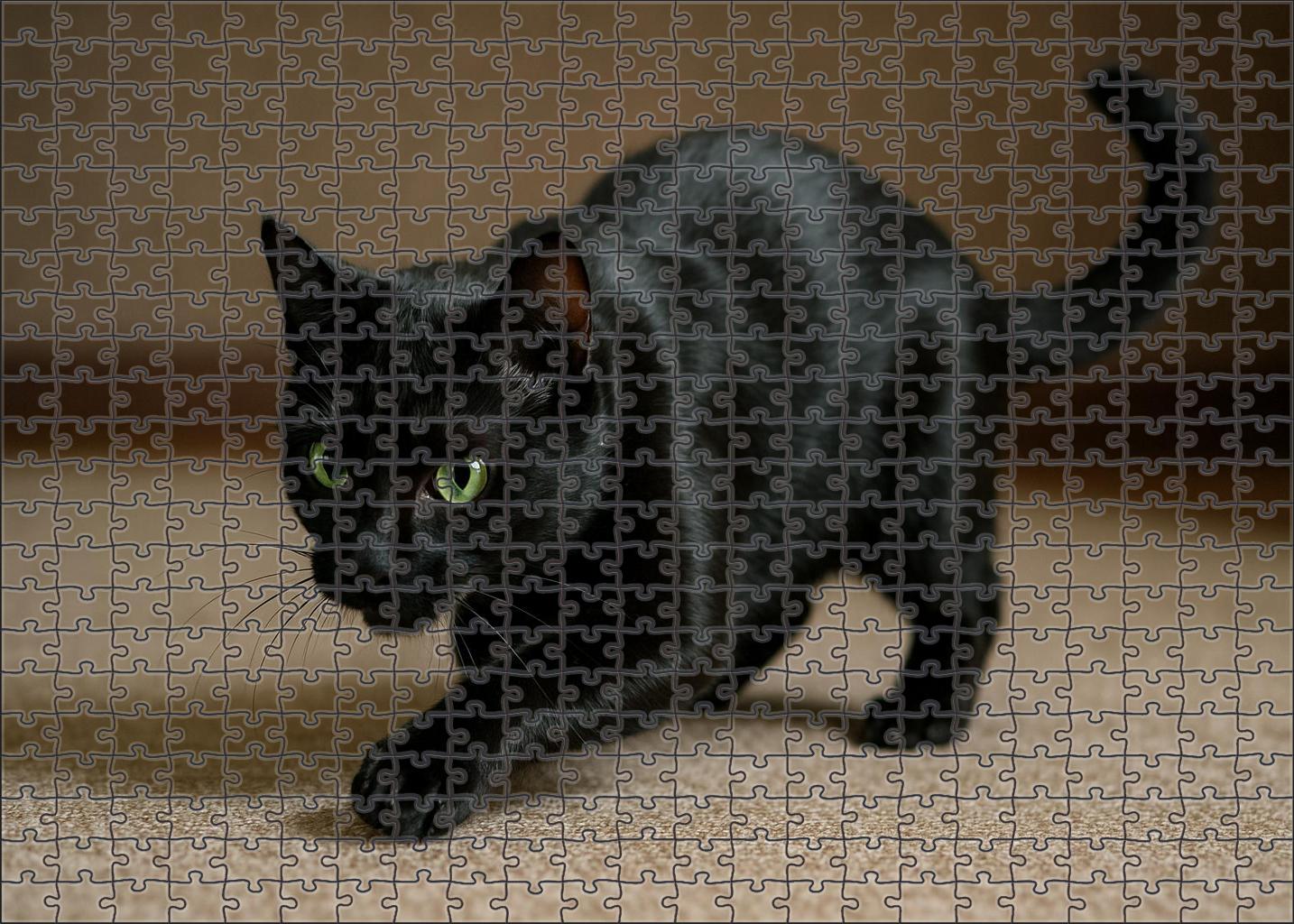 Cinder Flicker Sleek Black Shorthair With Expressive Eyes Mini Puzzle