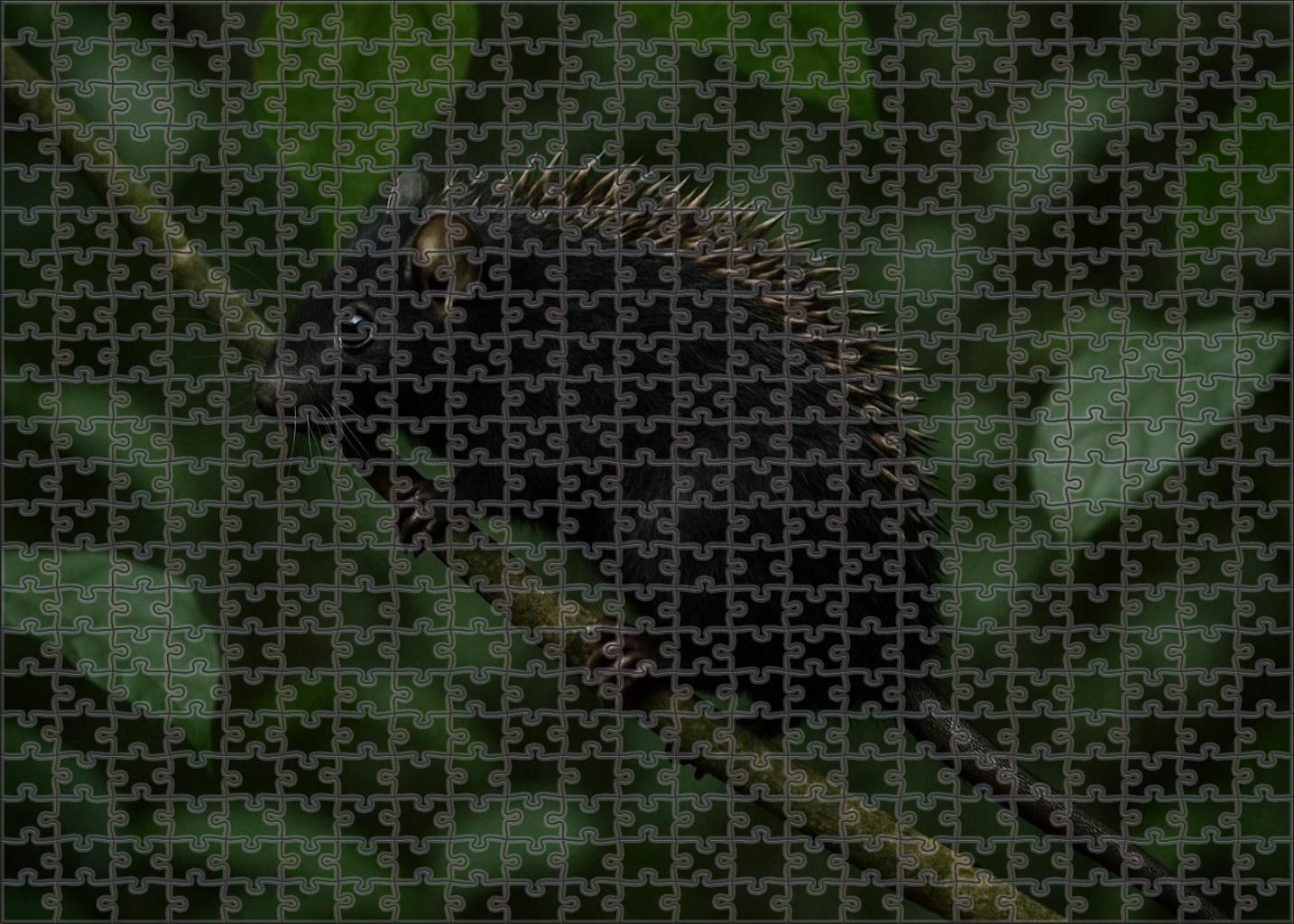 Velvet-spined Tree Rodent Agile Climber With Soft Dark Fur Puzzle Fun
