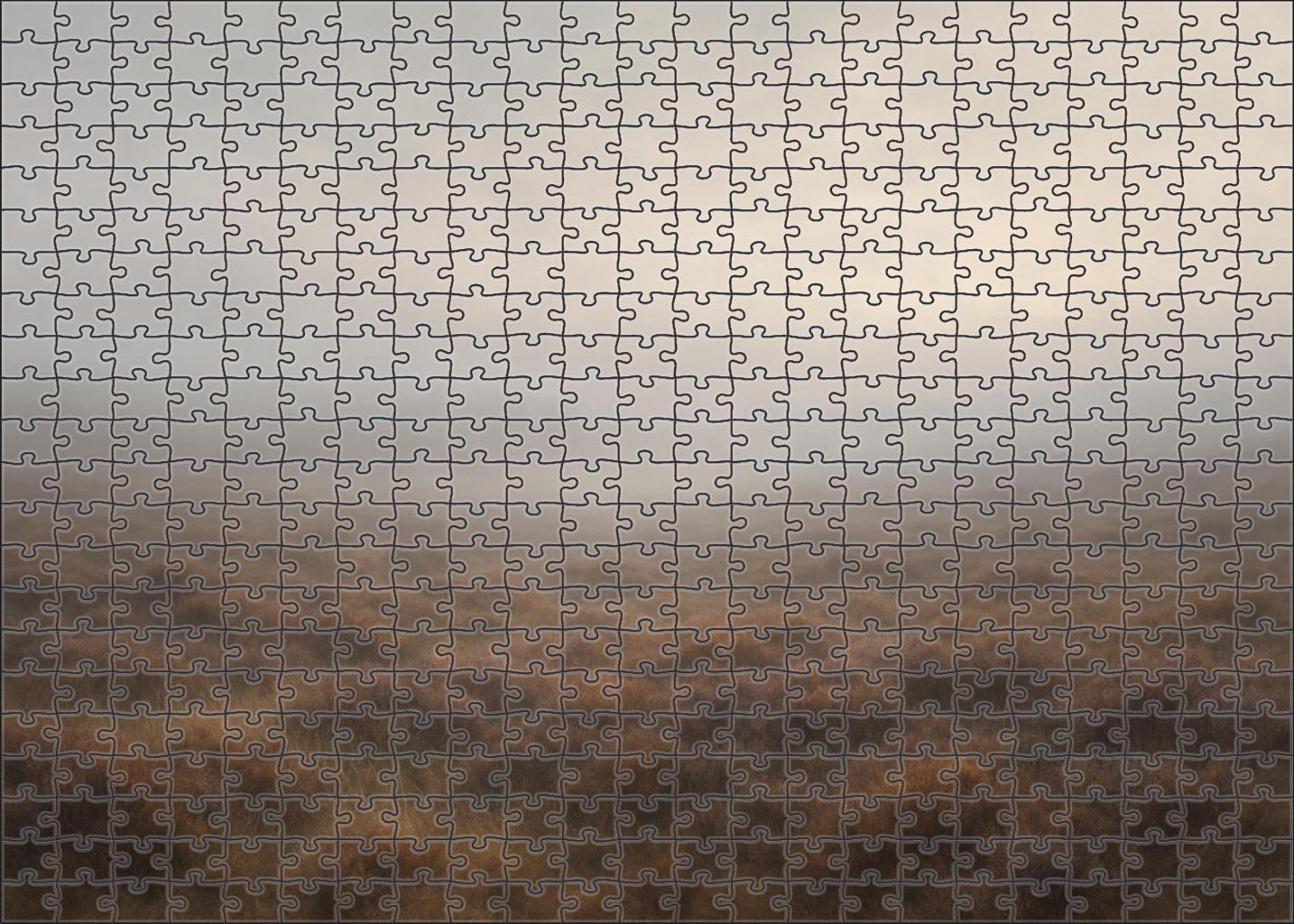 Mist-clad Highland Moor 1000 Piece Puzzle