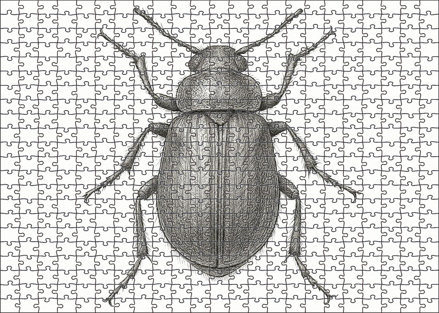 Intricate Insect Anatomy Study Technical Pen Drawing With Fine Detailing Large Format Puzzle