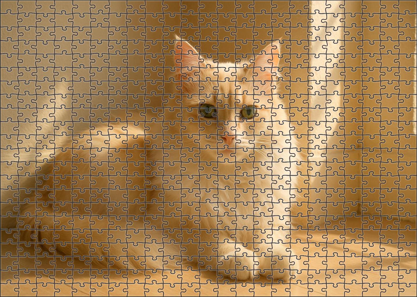 Opal Glow 50 Piece Puzzle