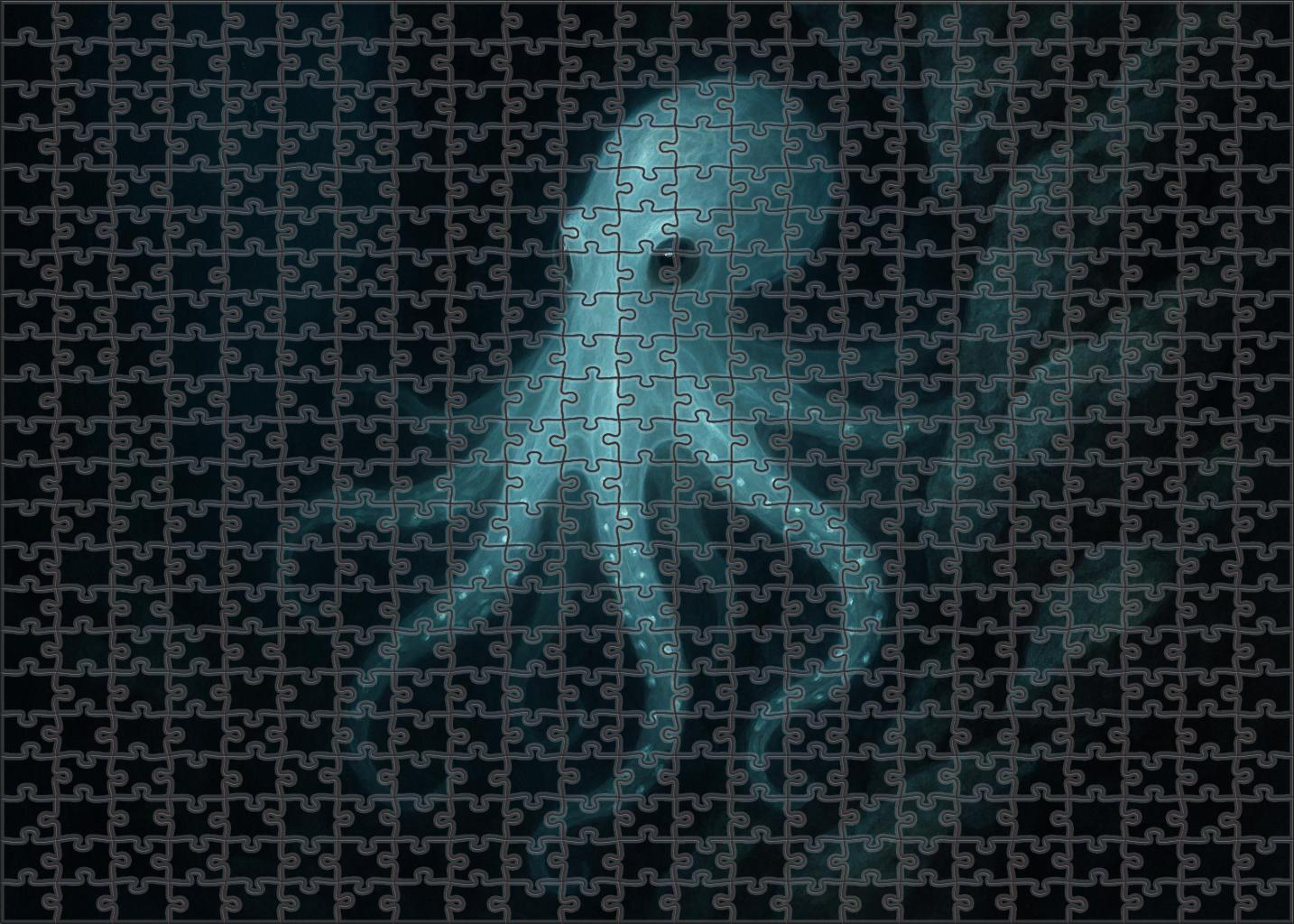 Spectral Lantern Octopus 20 Piece Puzzle