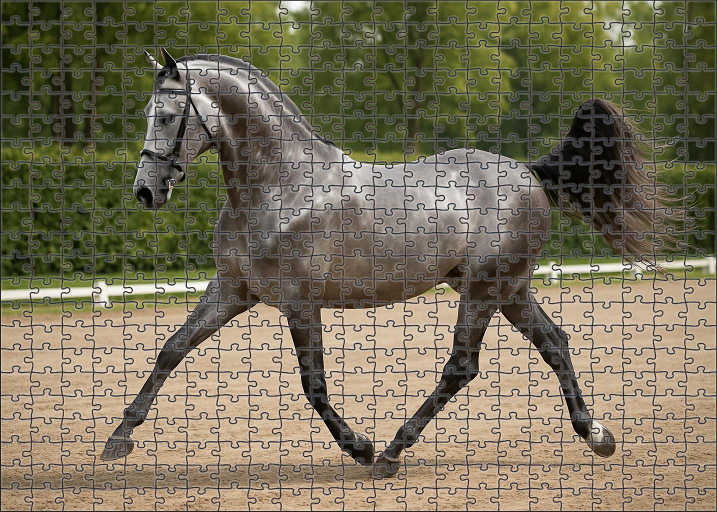 Silver Mist Dressage Mare Sleek Gray With Elevated Elegance Puzzle Collection