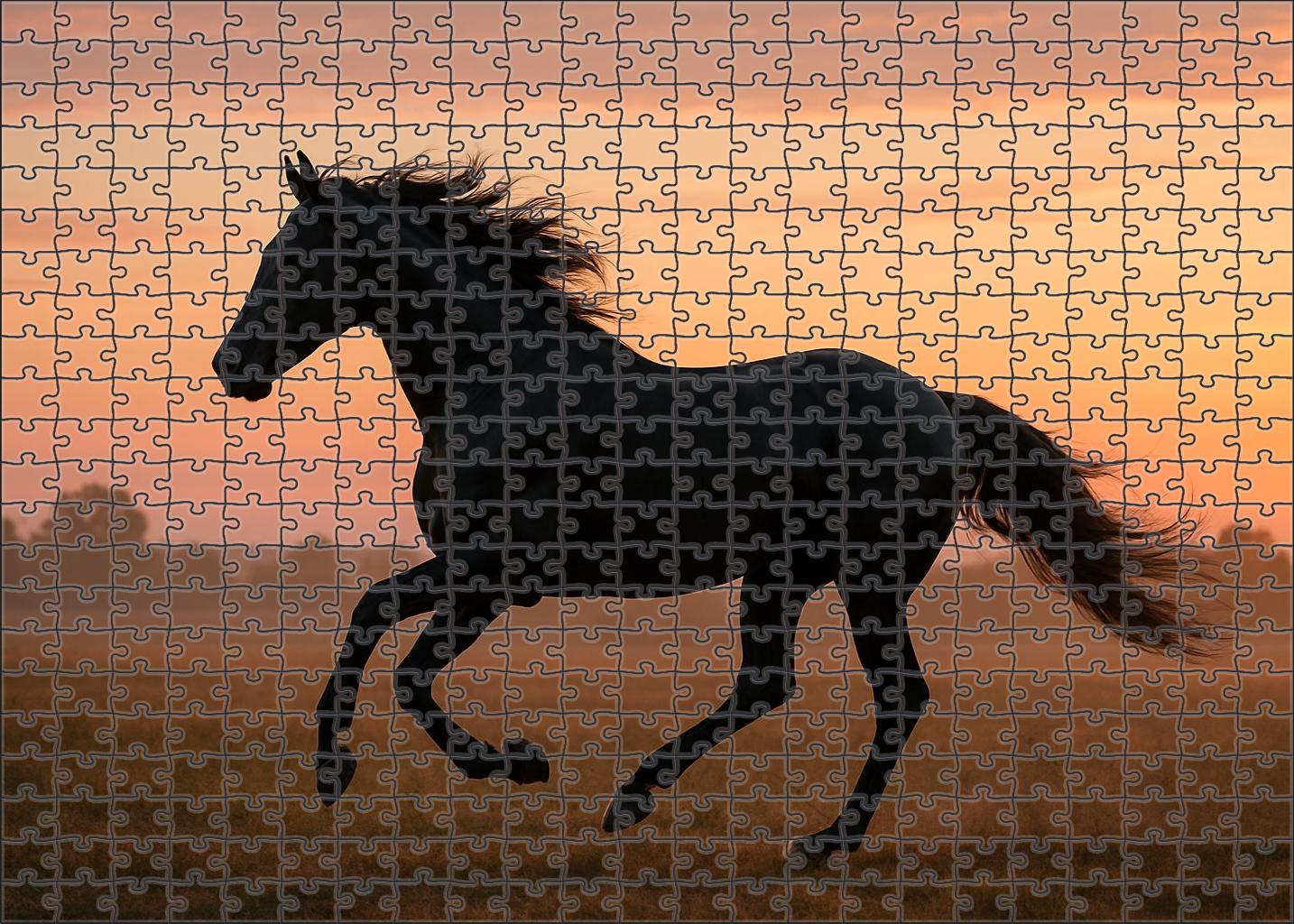 Midnight Ember Sleek Black Thoroughbred With Endurance Potential Challenging Puzzles