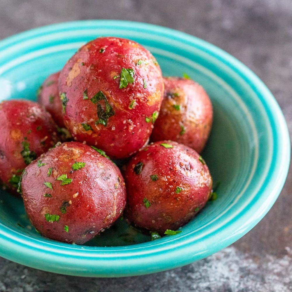 Pontiac Red Seed Potatoes
