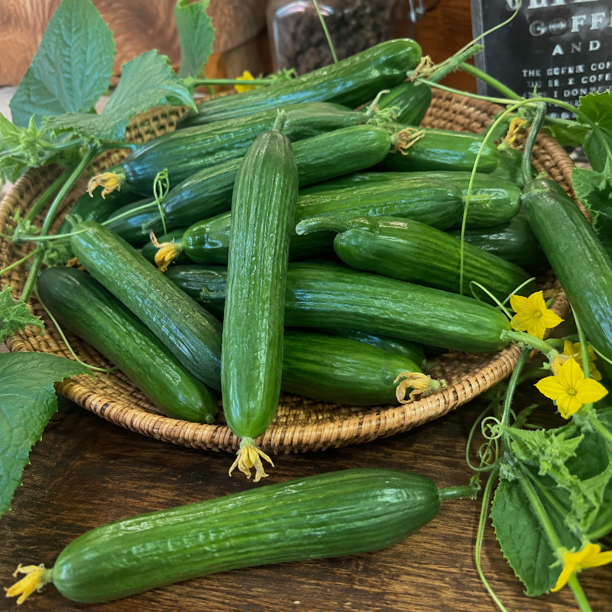 Four Seasons Melon Vegetable Seeds For Planting  