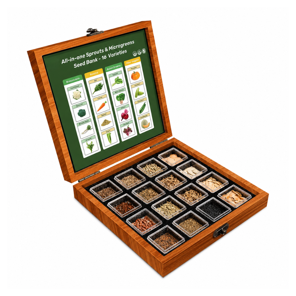 32 Varieties Vegetable Herb And Flower Seed