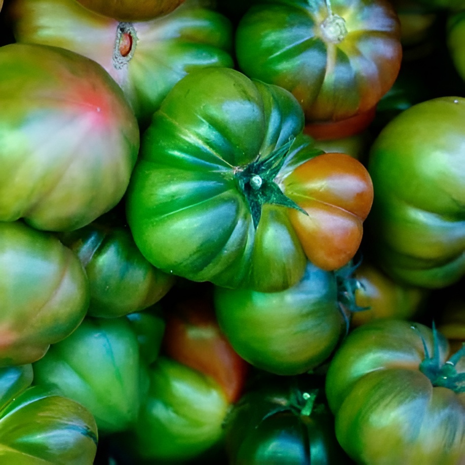 Vegetable Giant Tomato Seeds