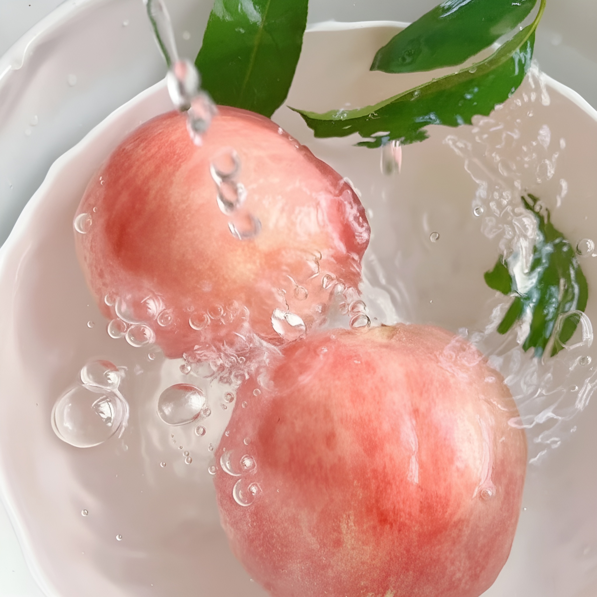 5 Dwarf Peach Fruit Tree Seeds For Indoor Outdoor Growing