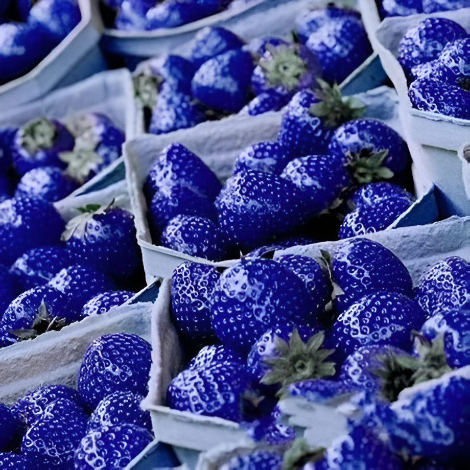 1000pcs Strawberry Fruit Seeds Blue Generic