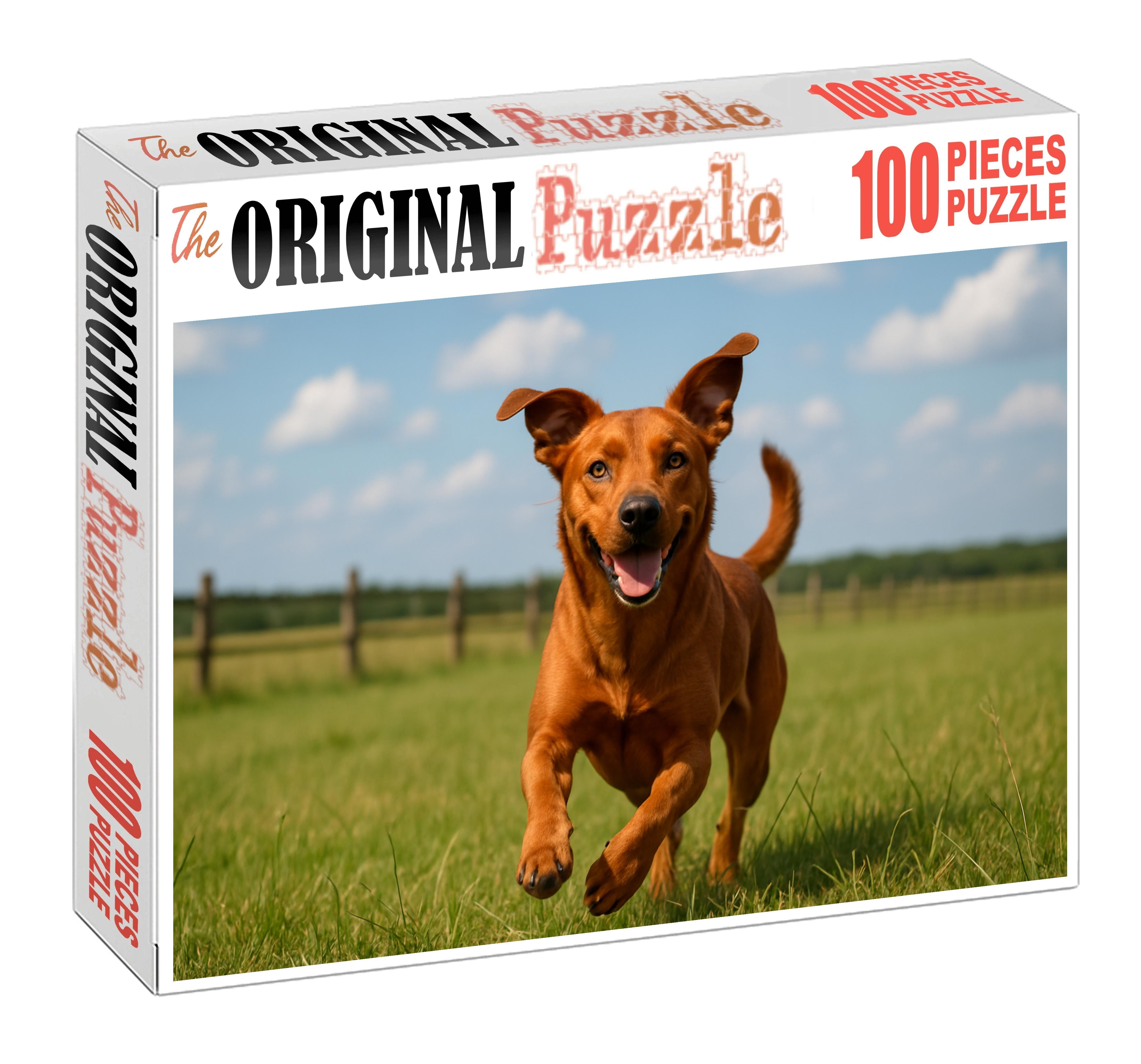 Chestnut Ember Dense Chestnut Coat Herding Dog With Spirited Charm Custom Jigsaw Puzzle