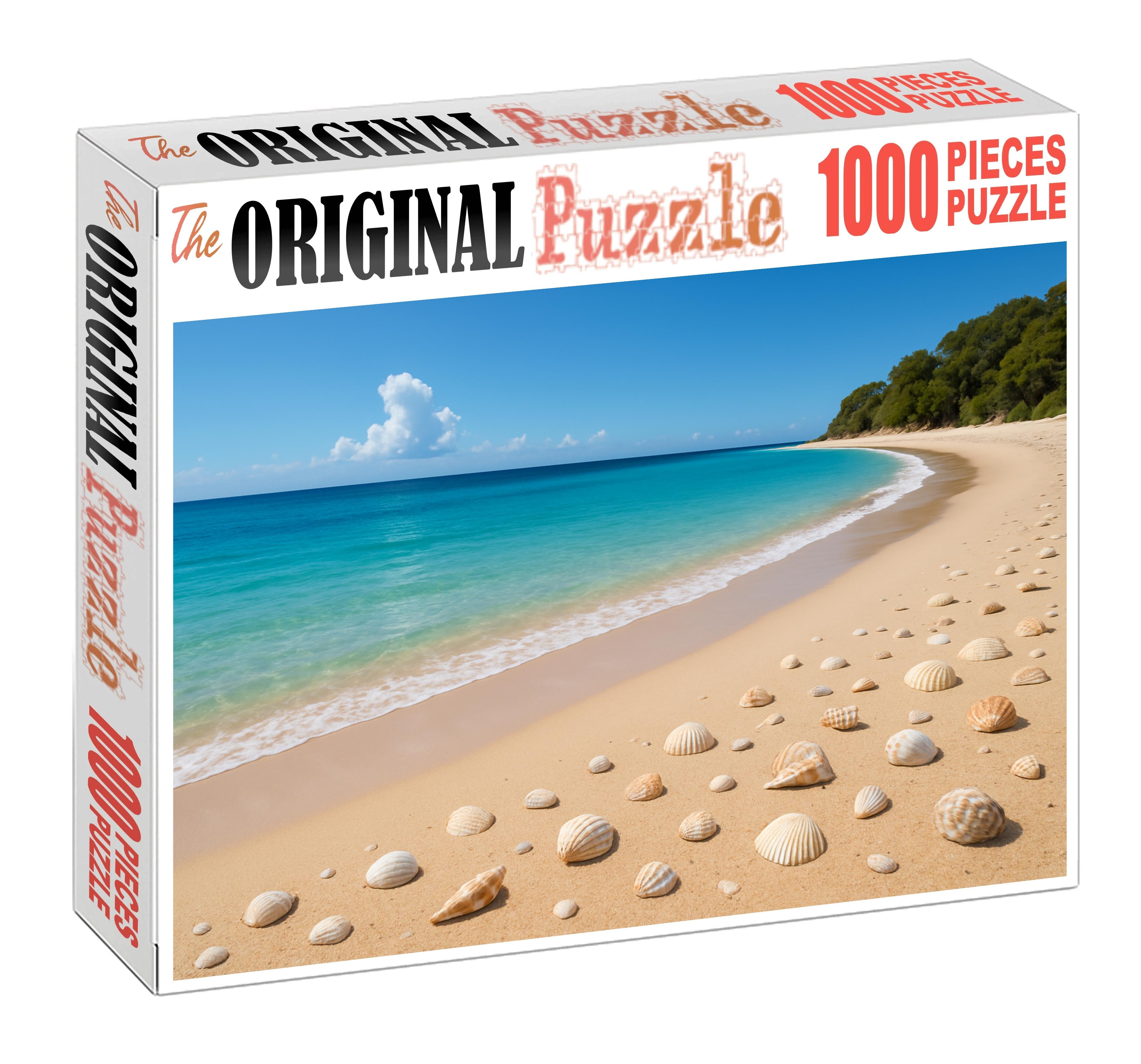 Seashell Crescent Beach Puzzle Fun