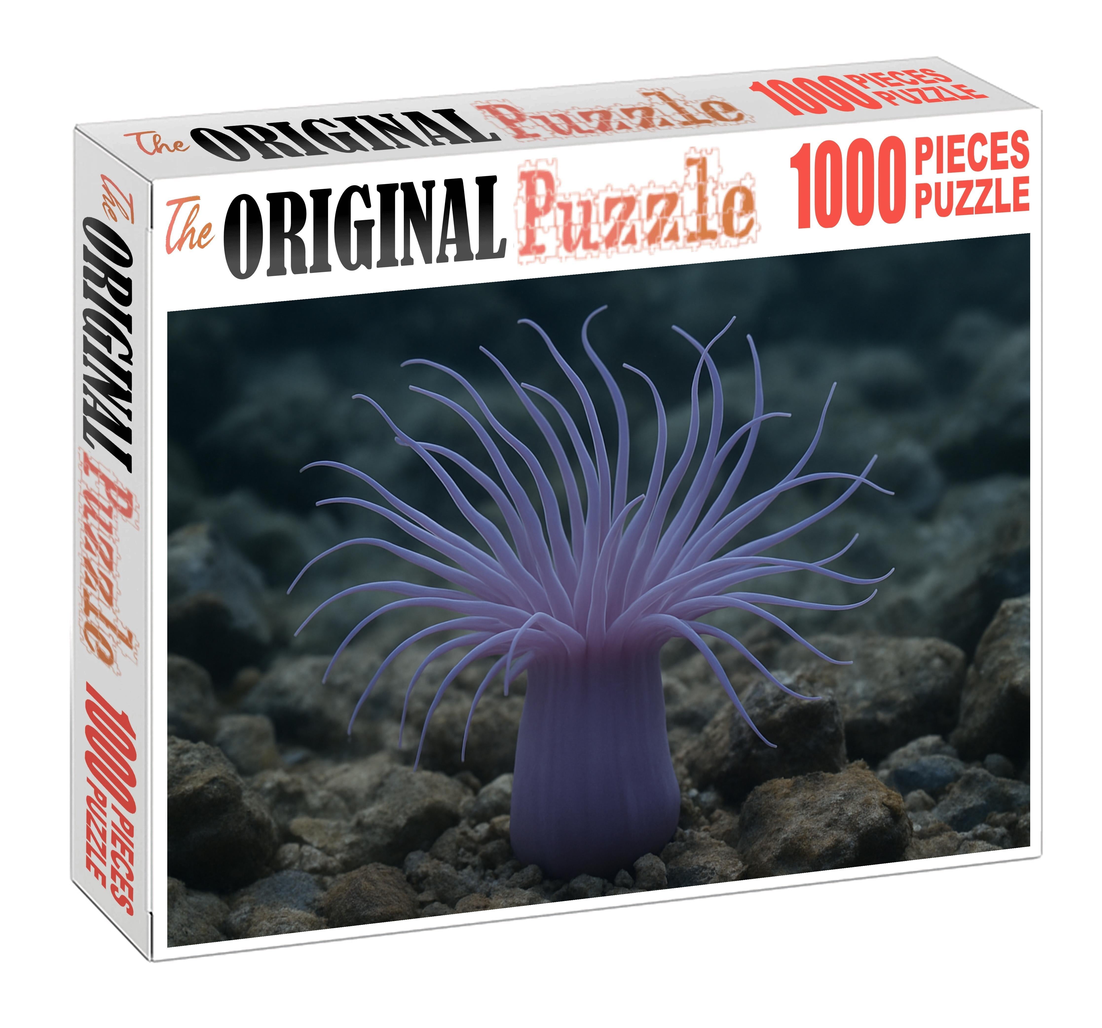 Lavender Sea Anemone Tentacled Predatory Polyp Family Puzzles