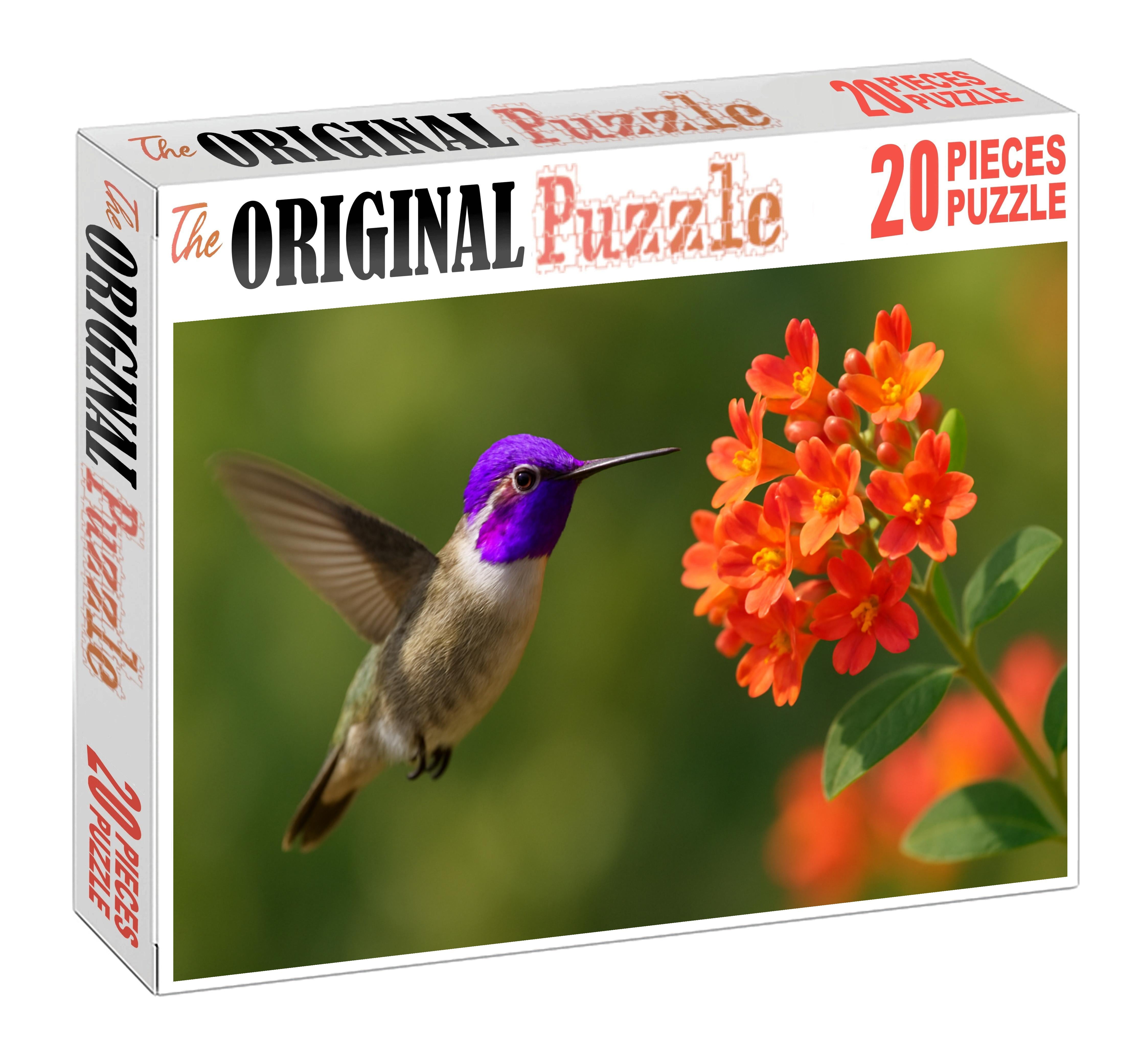 Violet-crowned Hummingbird A Hovering Gem Challenging Puzzles