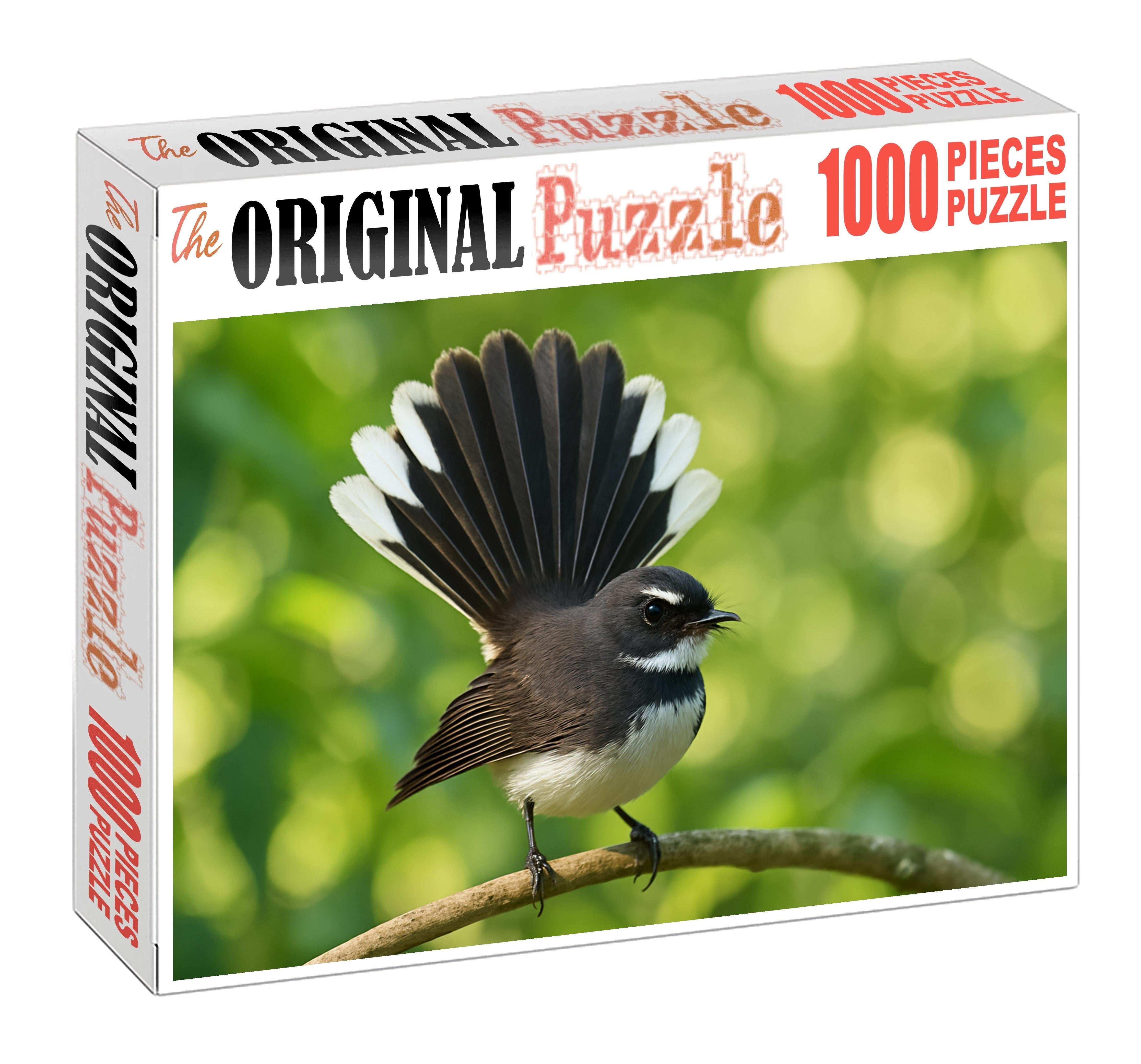 Pied Fantail Agile Performer Of The Forest Challenging Puzzles