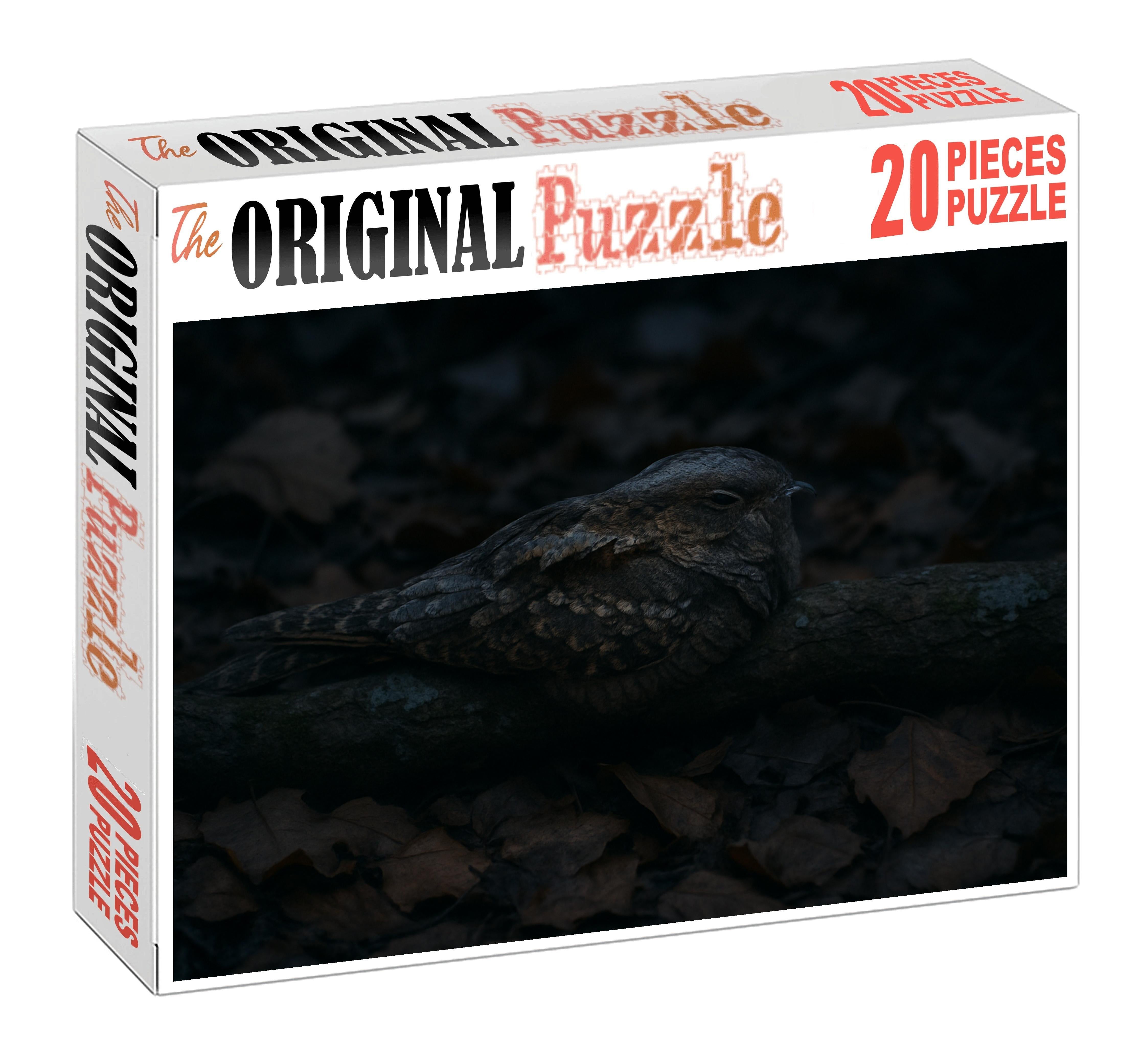 Ivory-billed Nightjar Master Of Twilight Camouflage Puzzle Fun