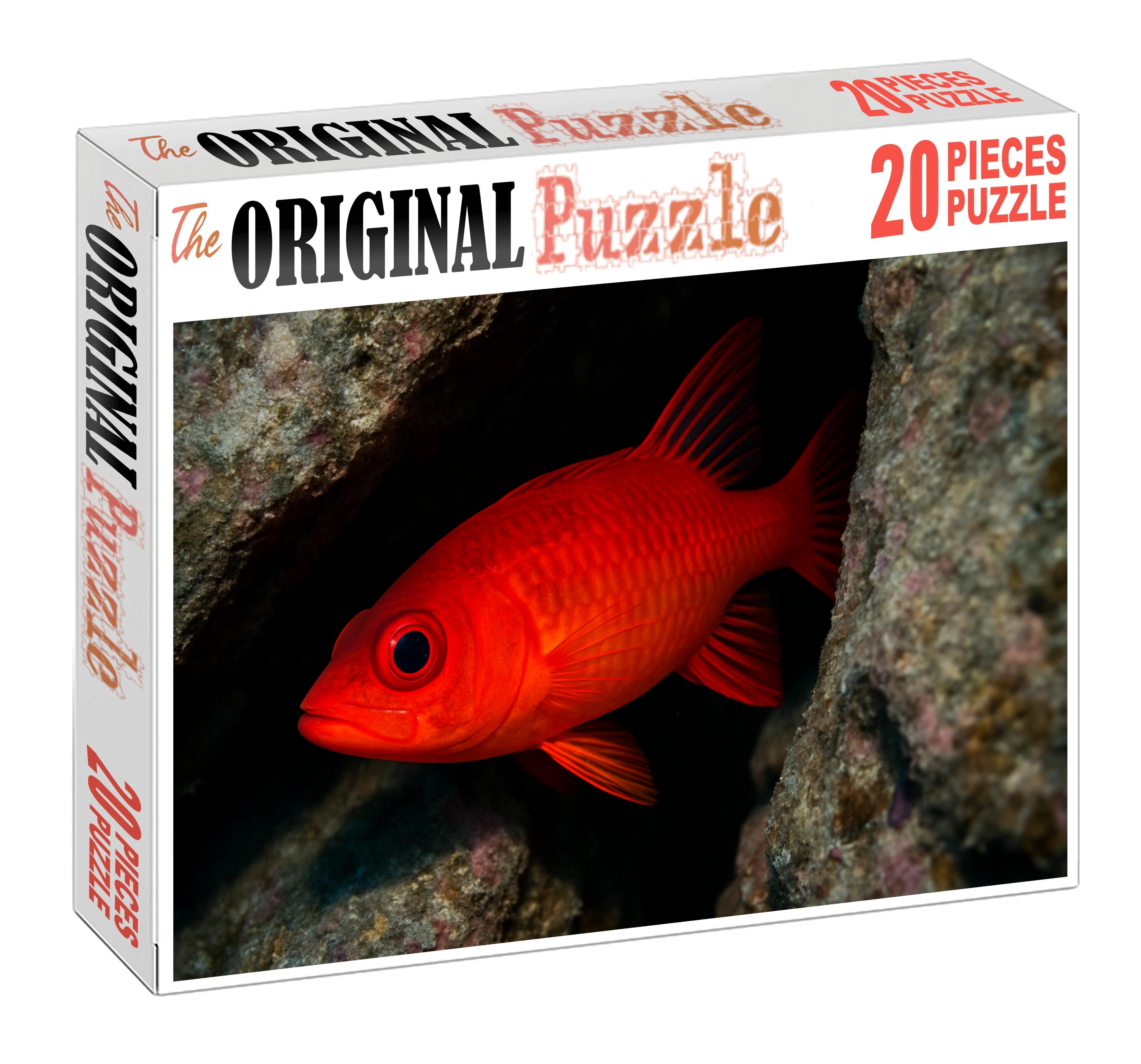 Sunset Blenny Small Elongated Fish With Fiery Gradient Coloration Easy Puzzles