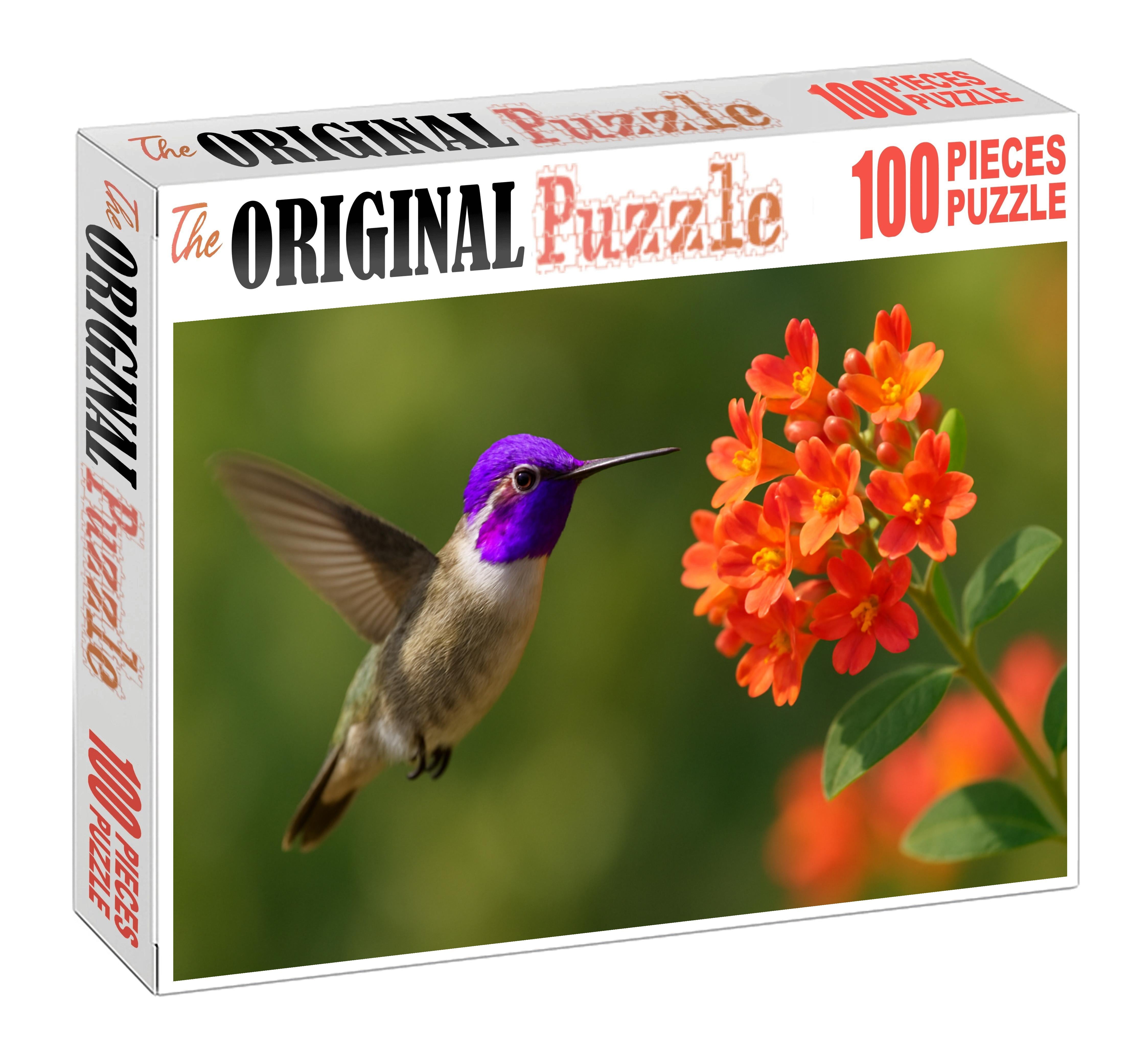 Violet-crowned Hummingbird A Hovering Gem Challenging Puzzles