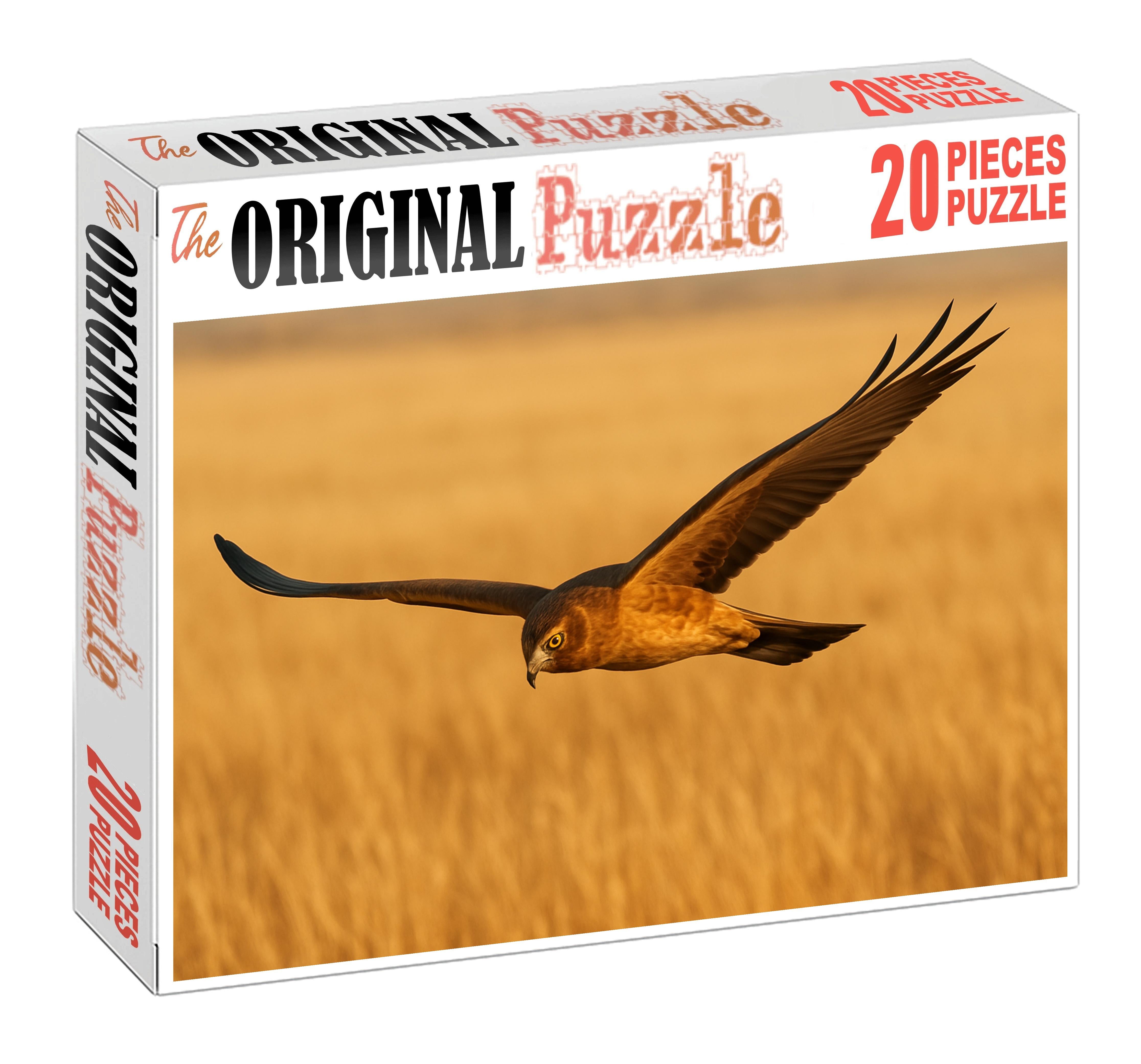 Prairie Falcon Speedy Raptor Of Open Grasslands Challenging Puzzles