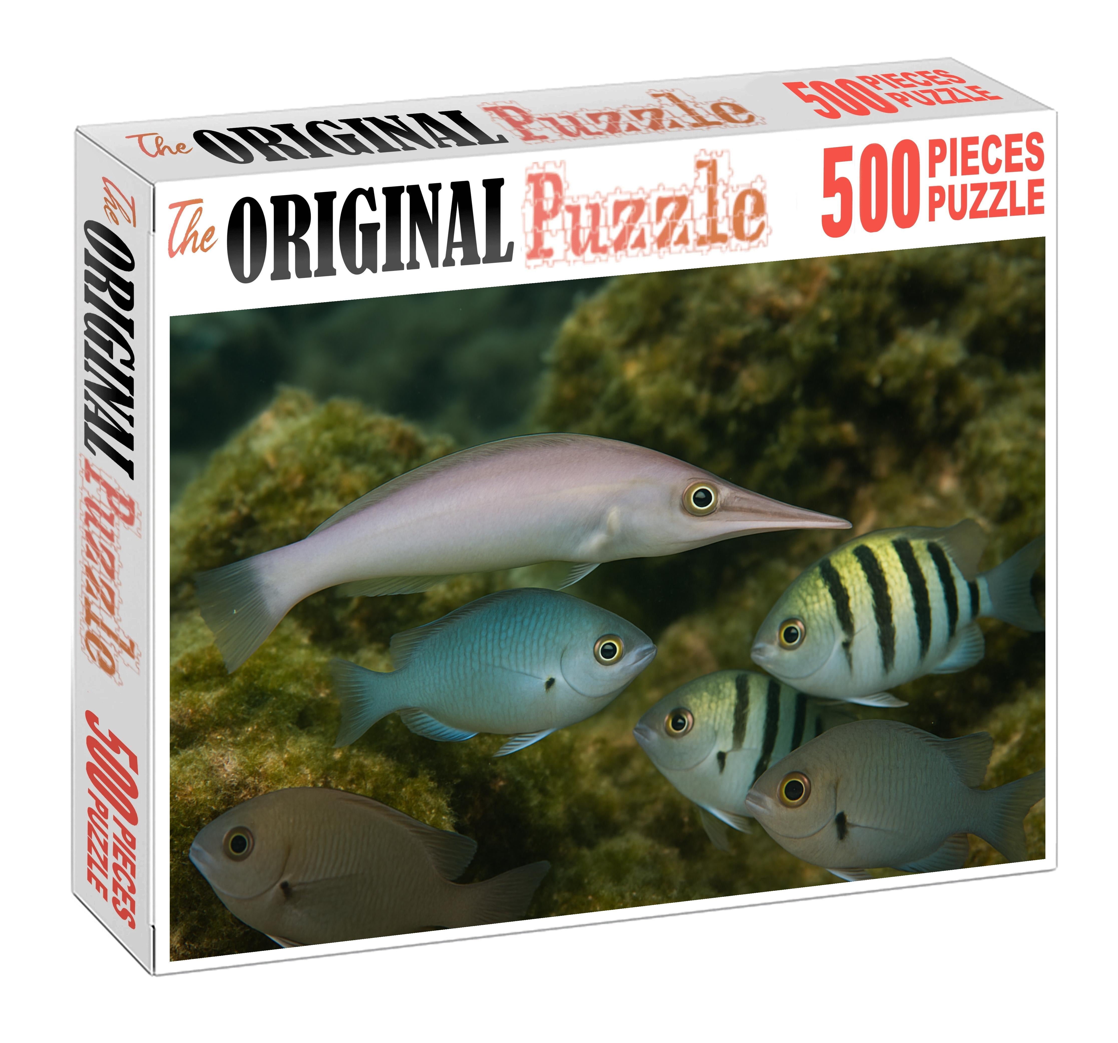 Ivory Snout Wrasse Elegant Cleaner With Tapered Profile And Striking Snout Puzzle Collection