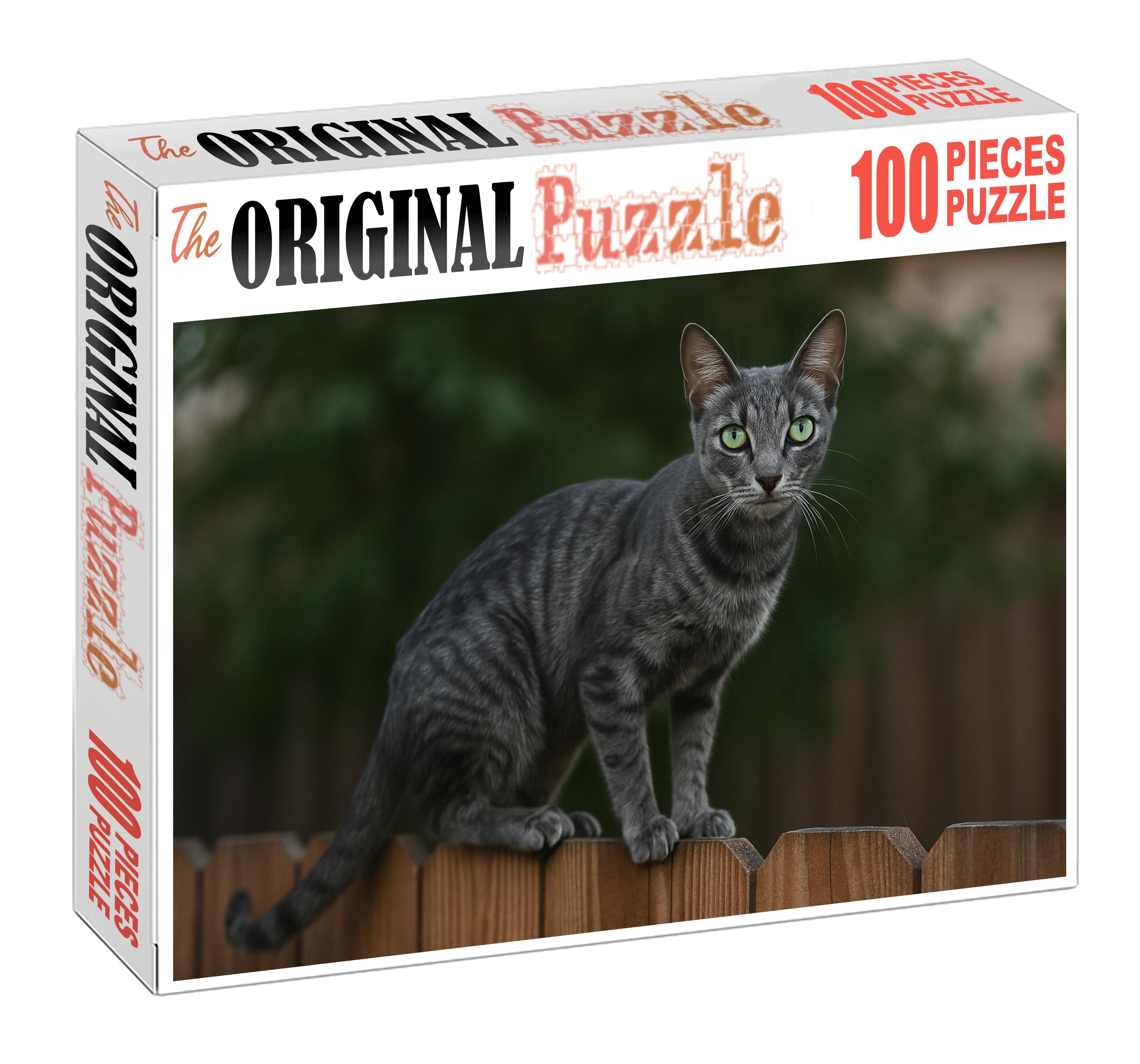 Graphite Stripe Sleek Shorthaired Cat With Inquisitive Spirit 1000 Piece Puzzle