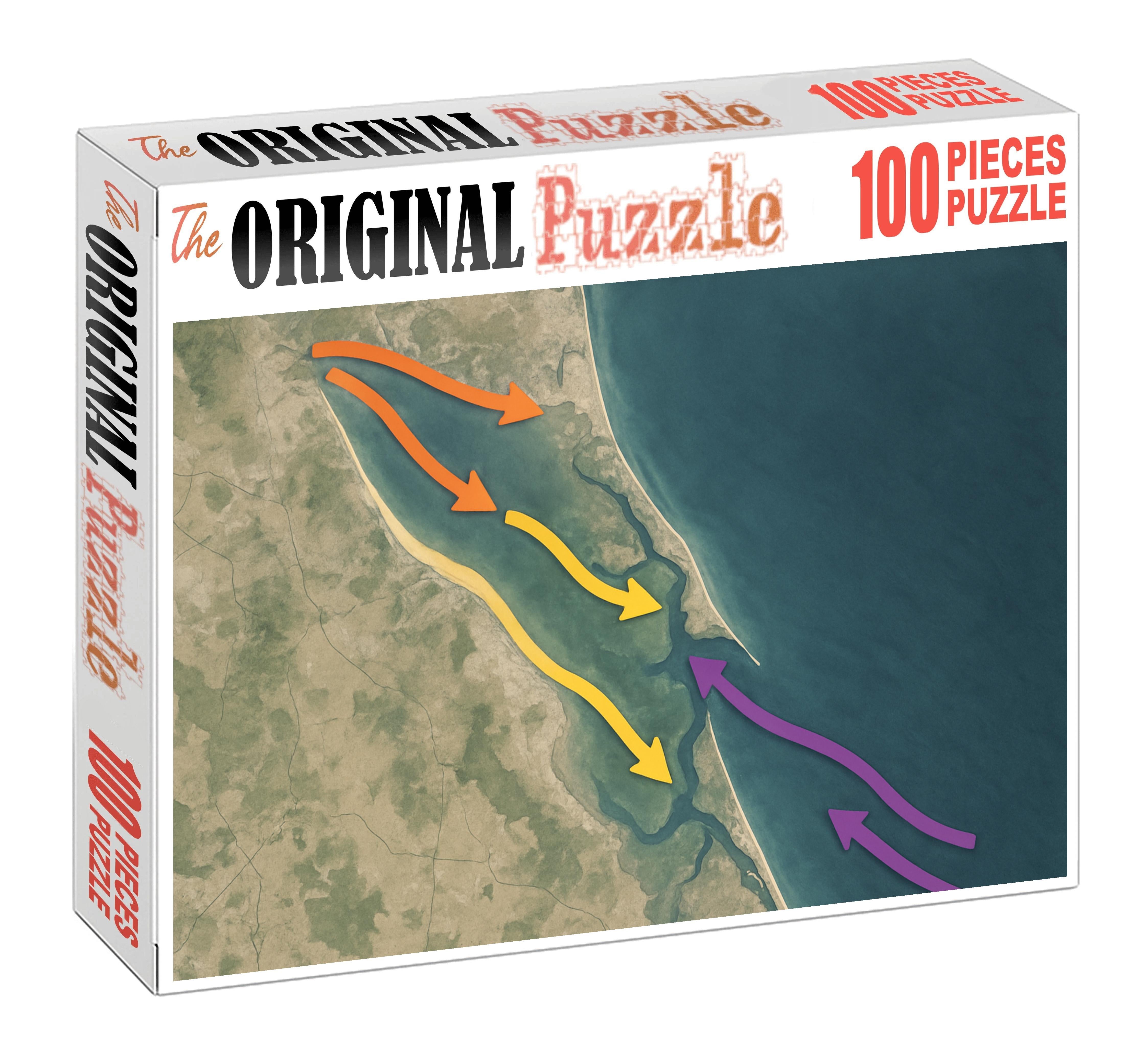 Coastal Sediment Transport Flow Puzzle Collection