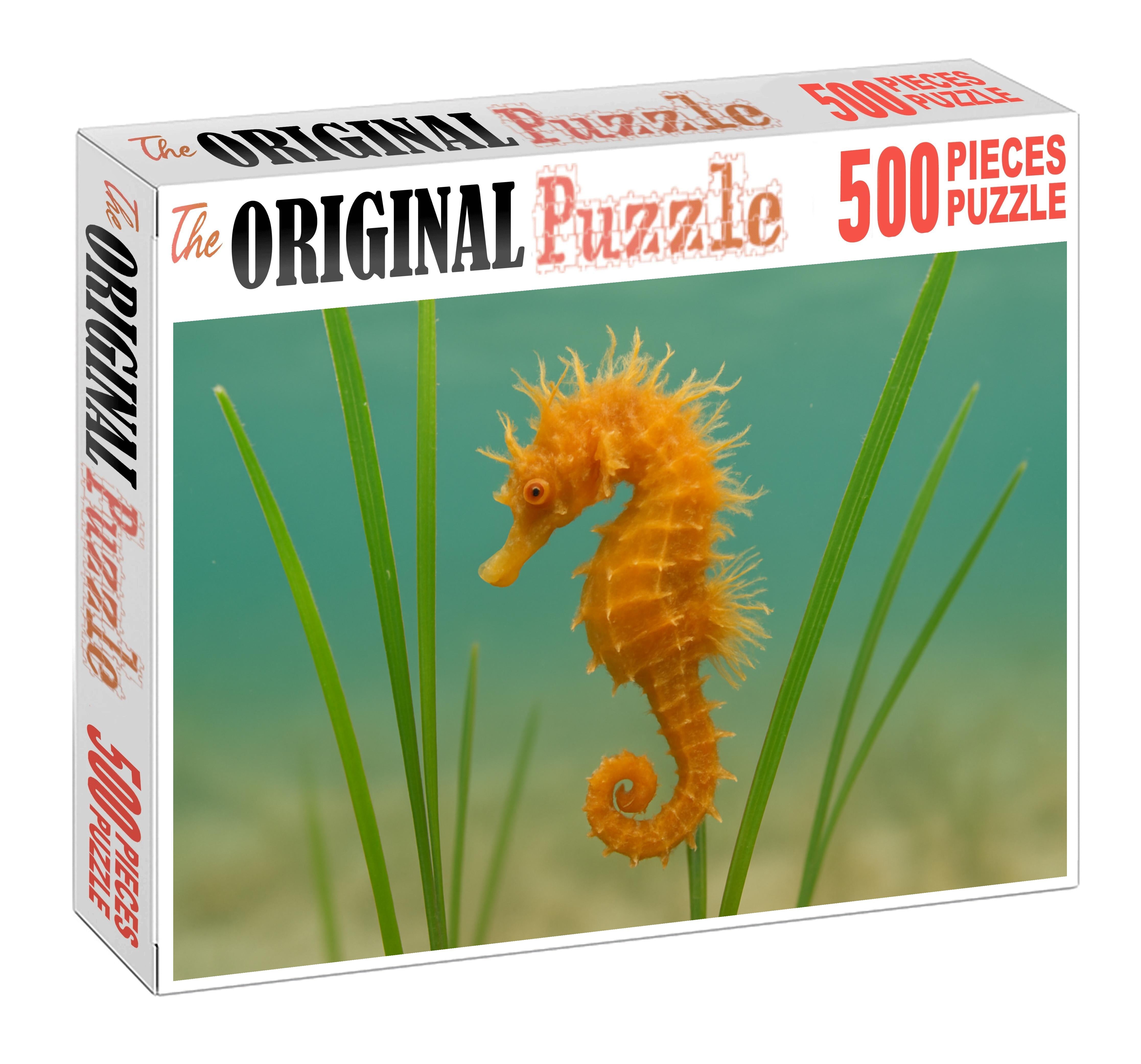 Amber-tufted Seahorse Tiny Ornamental Fish With Delicate Appendages Mini Puzzle