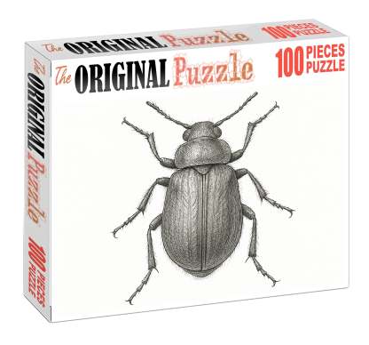 Intricate Insect Anatomy Study Technical Pen Drawing With Fine Detailing Large Format Puzzle