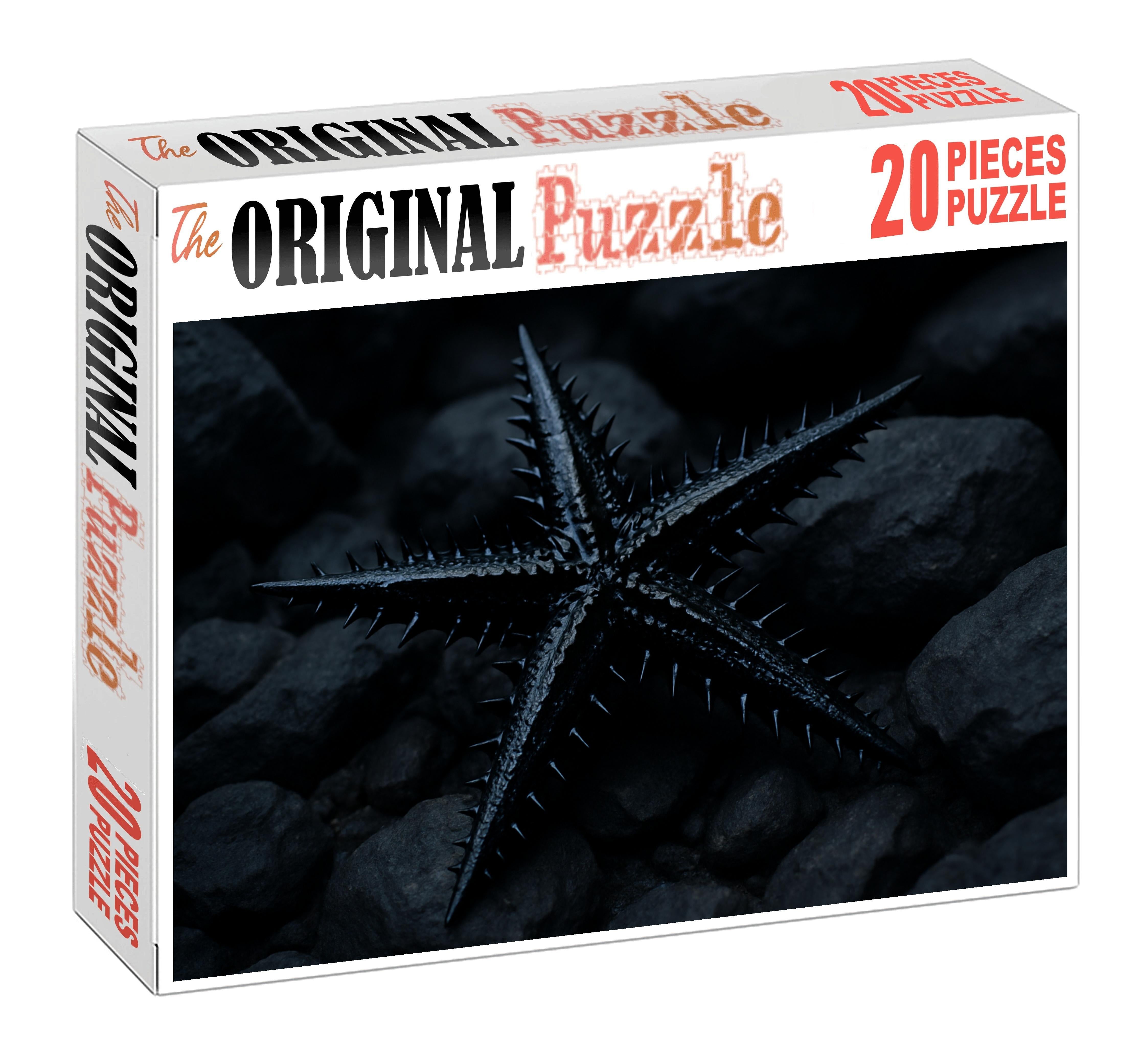 Obsidian Spiny Star Blackened Echinoderm With Sharp Defensive Rays 200 Piece Puzzle