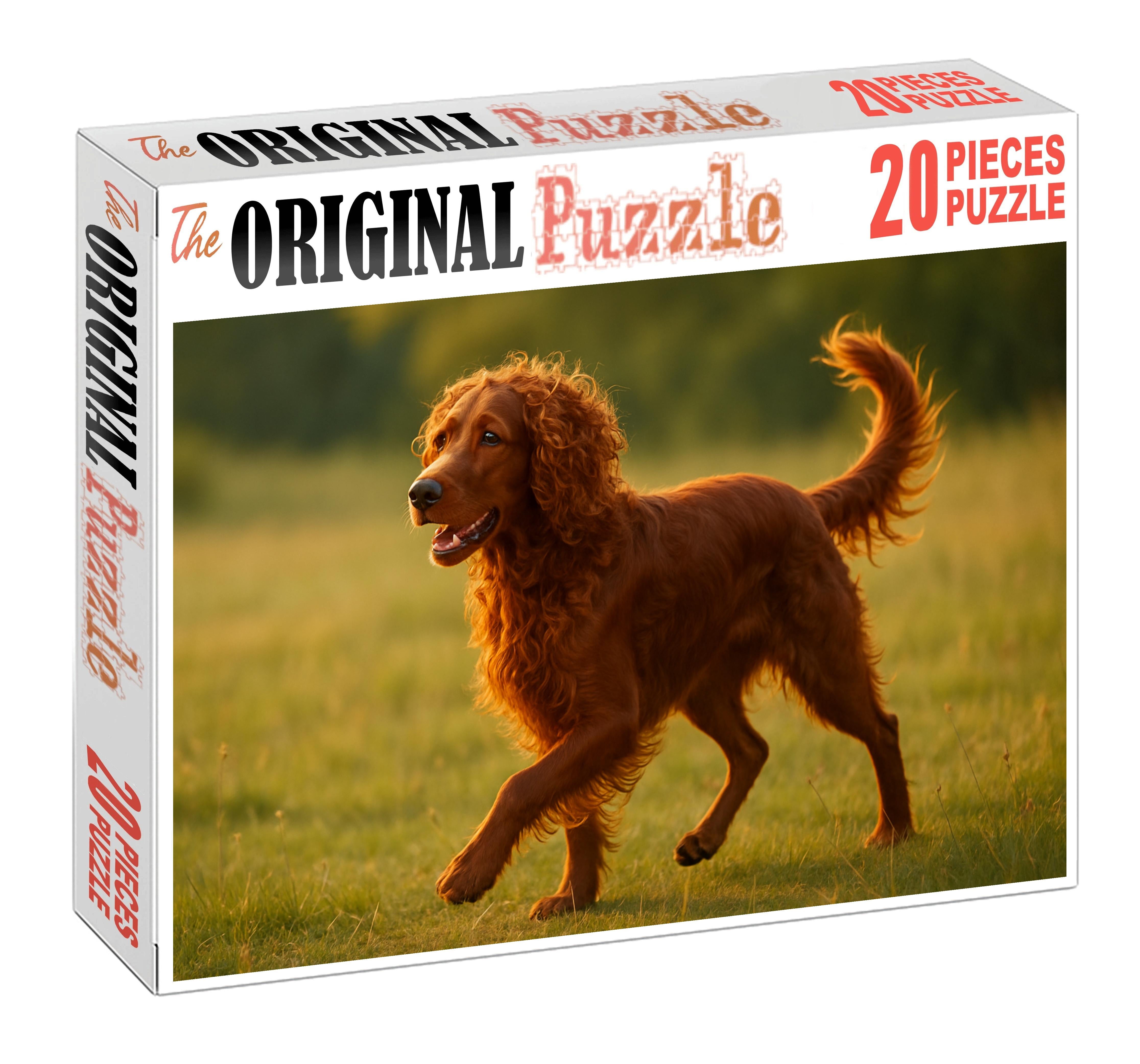 Rust Whirl Spiraled Auburn-coated Herding Dog With Energetic Spirit Puzzle Collection