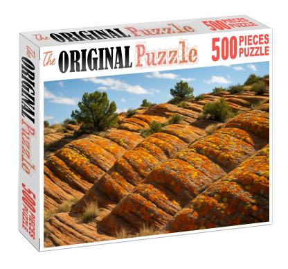 Amber Lichen Heights Puzzle Challenge
