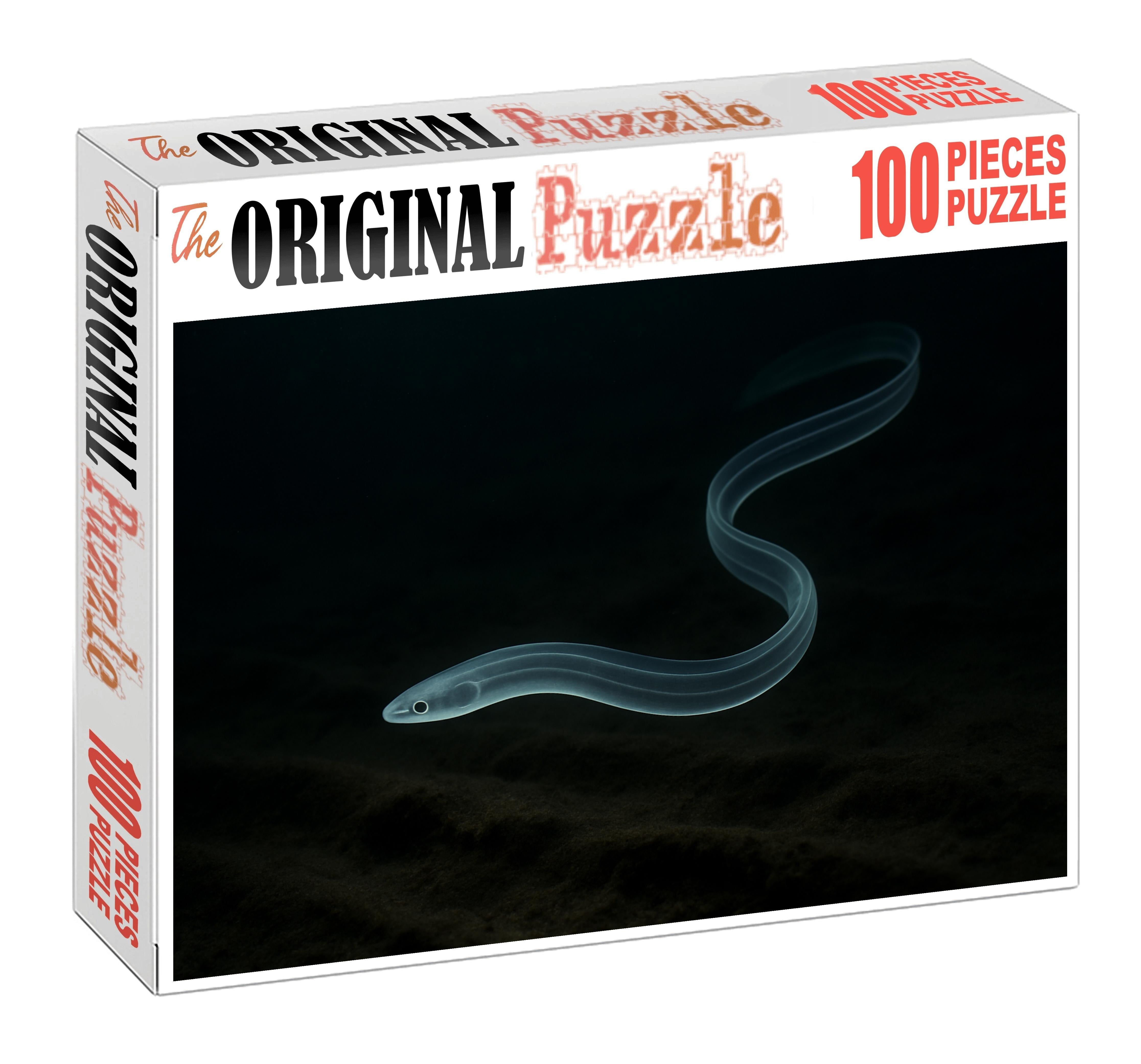 Midnight Glass Eel Elusive Juvenile Drifter Challenging Puzzles