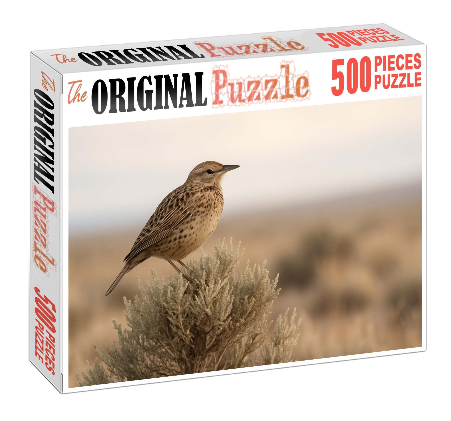 Sage Thrasher The Desert Song Specialist Puzzle Challenge