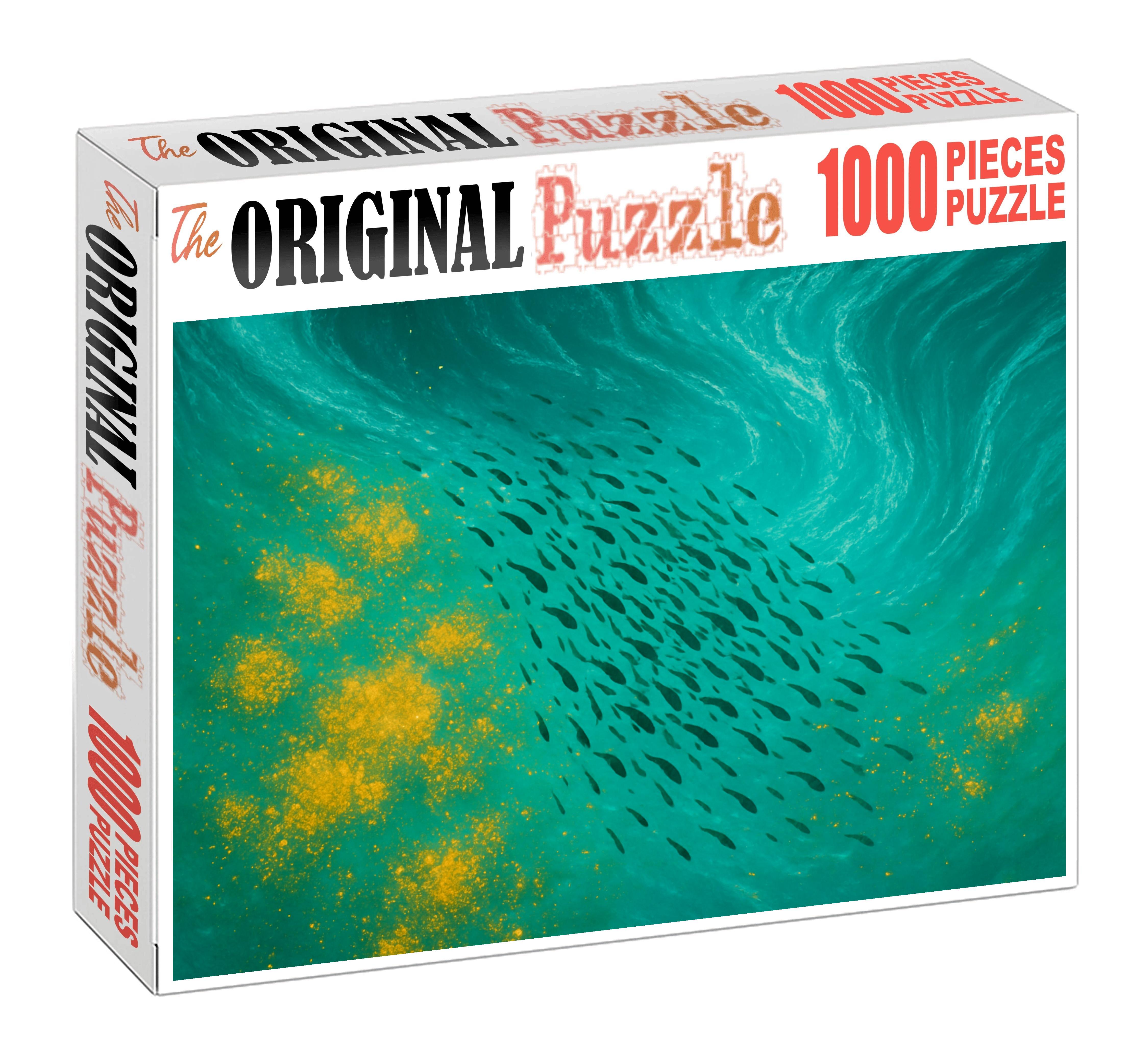 Nutrient-rich Upwelling Front Puzzle Fun